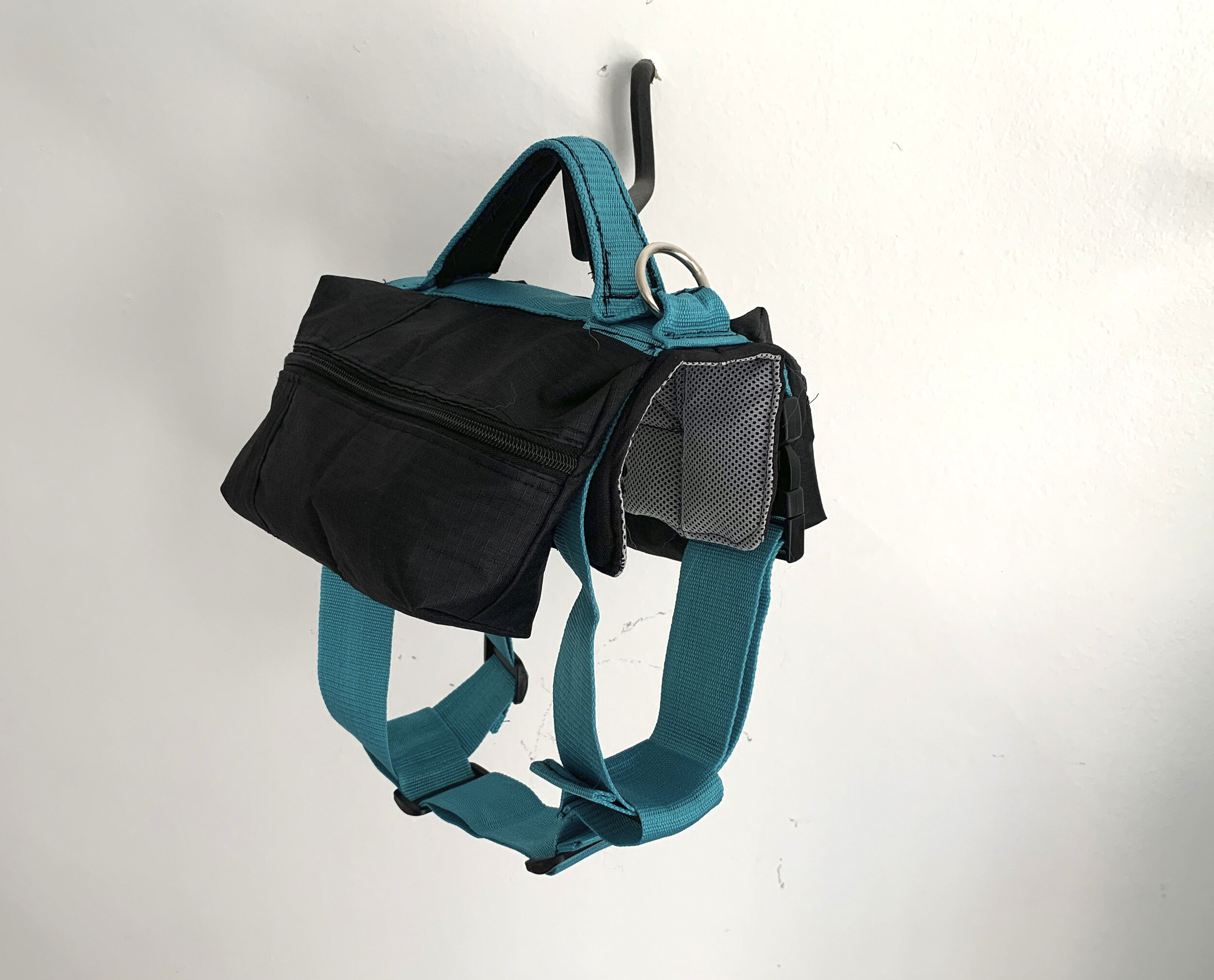 Doggie Backpack