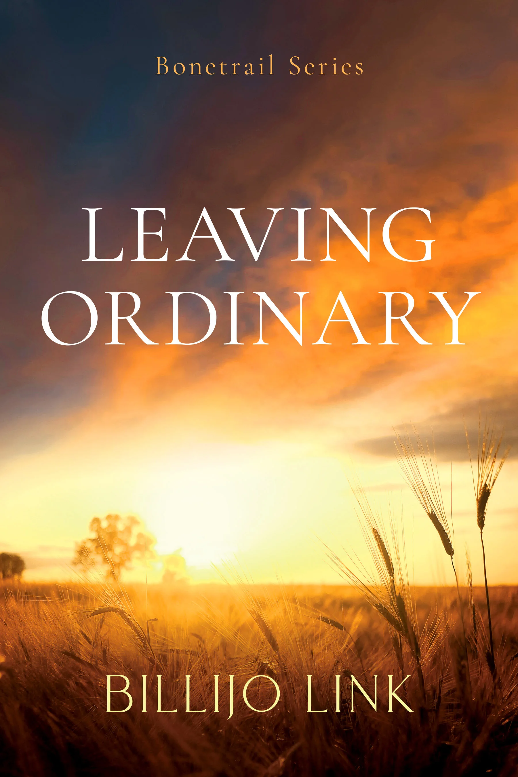 Leaving Ordinary by Billijo Link book cover