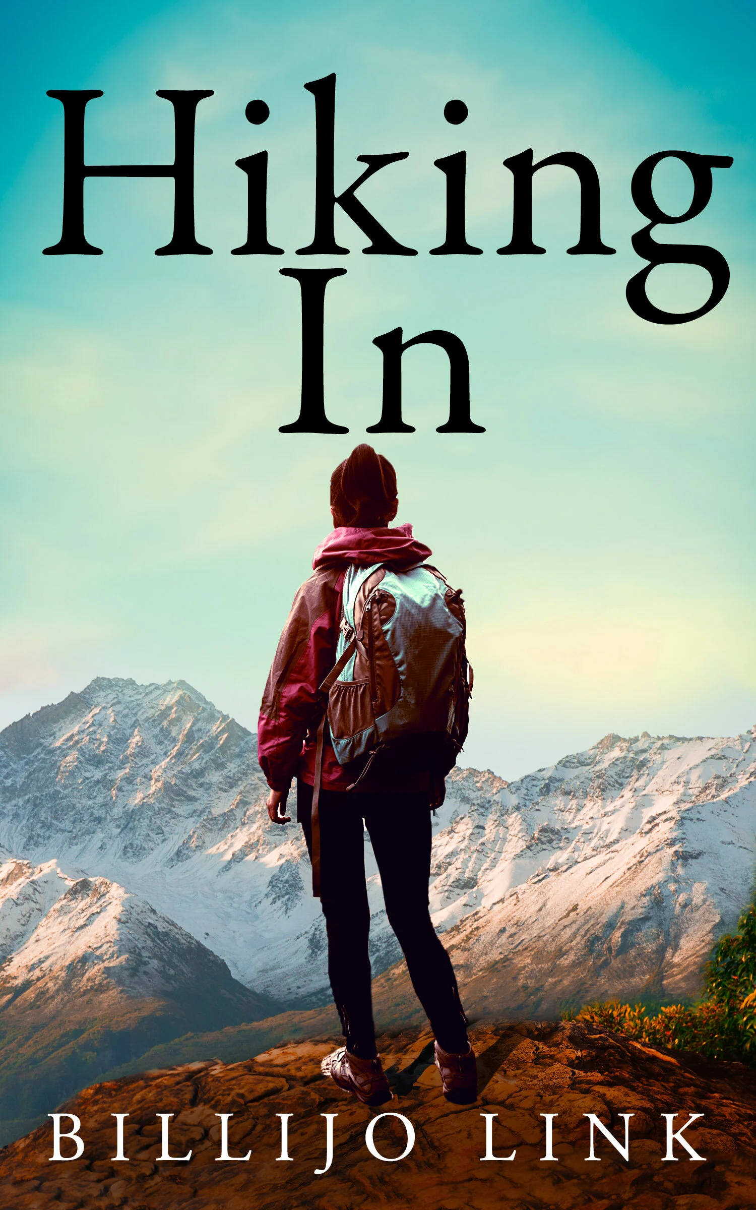 Hiking In by Billijo Link book cover
