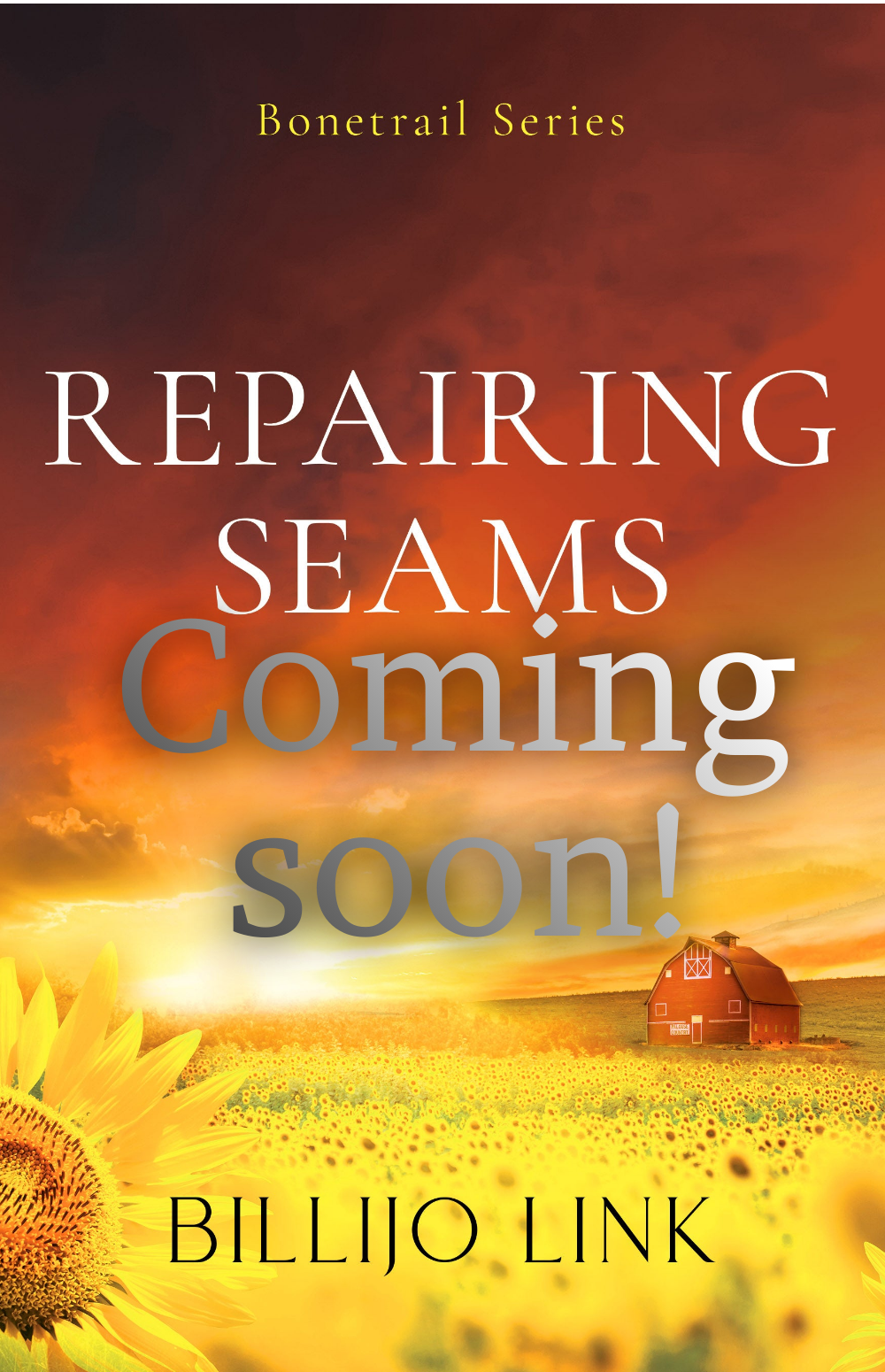 repairing seams coming soon.png