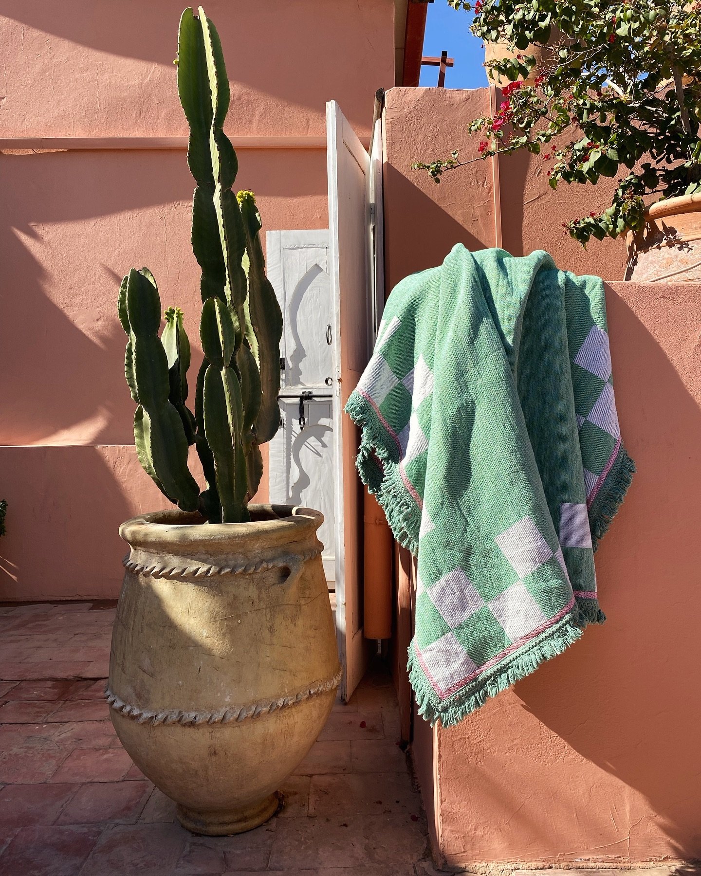 Cactus Blanket 🌵