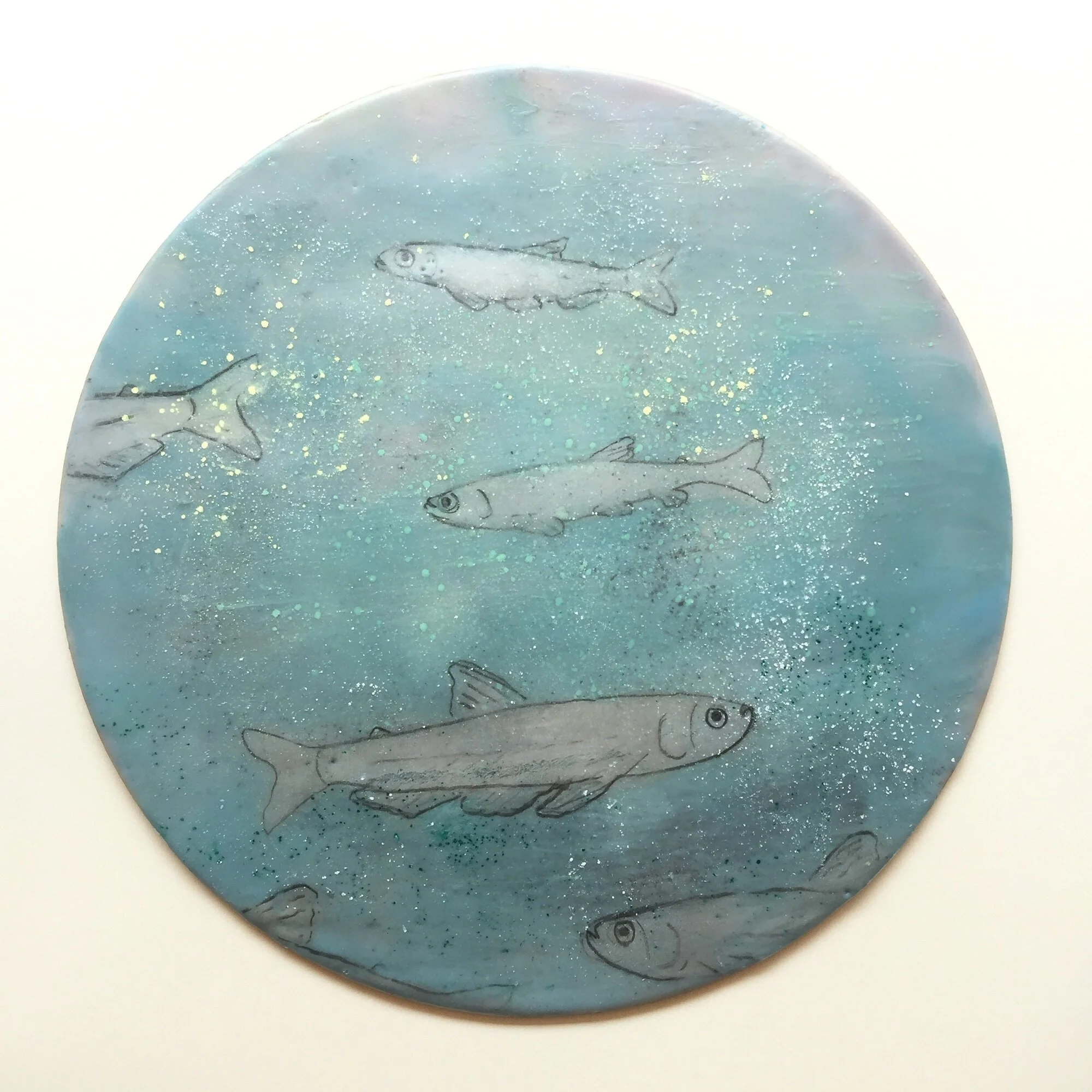  Longfin smelt study . 2020.  12" round.  California native fish species  Spirinchus thaleichthys . $400