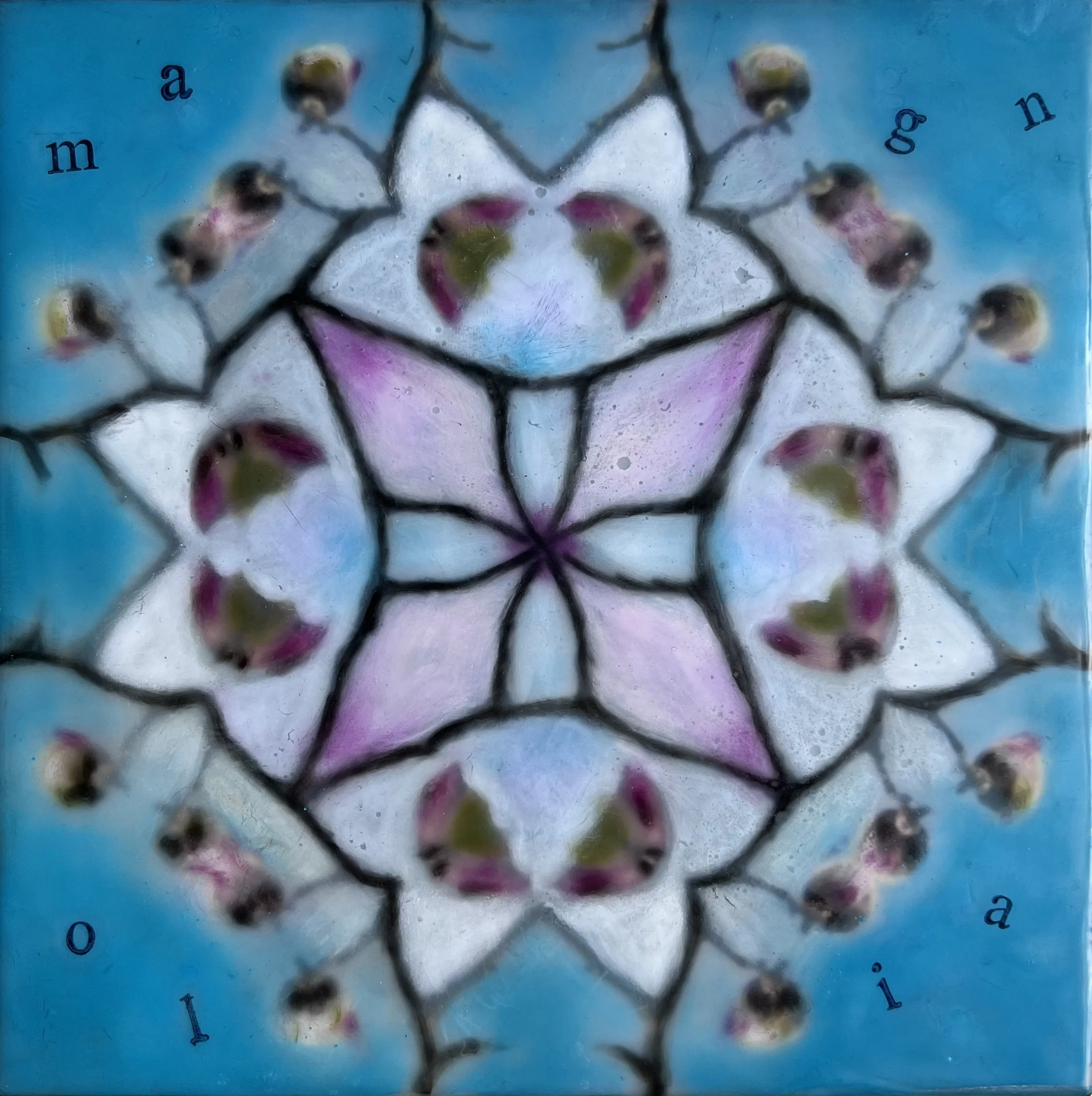  Magnolia kaleidoscope . 2020-2023.  8" x 8". $600