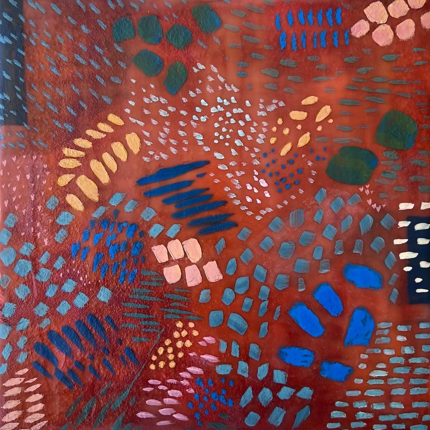 redwood understory.JPG