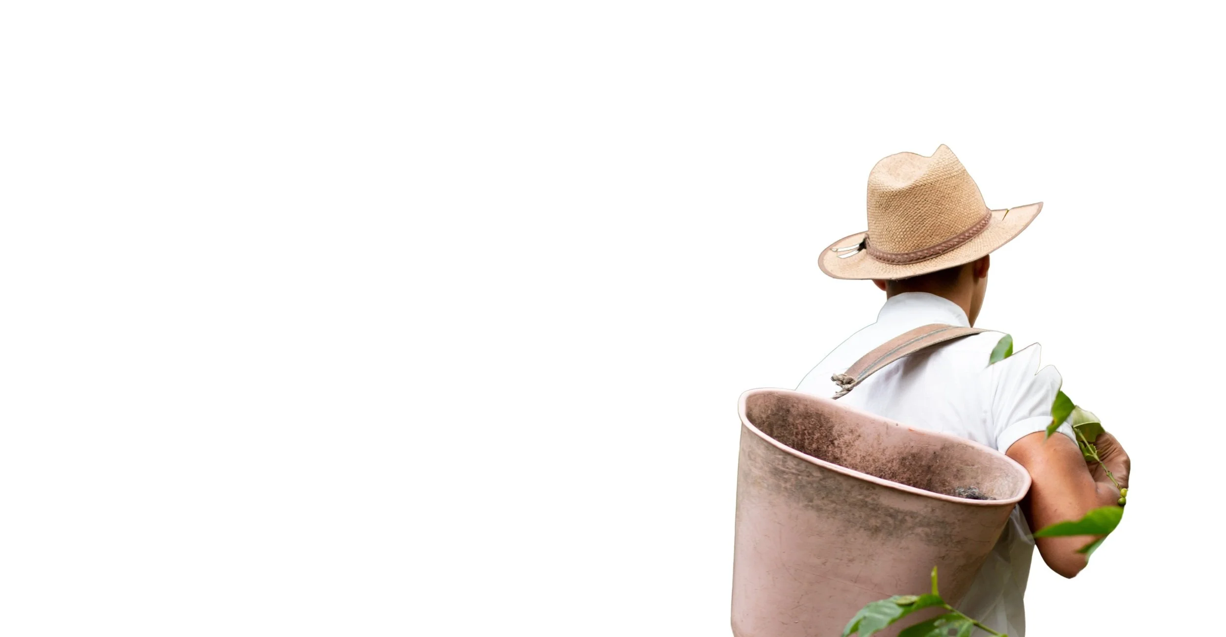 About us — Plantik Biosciences