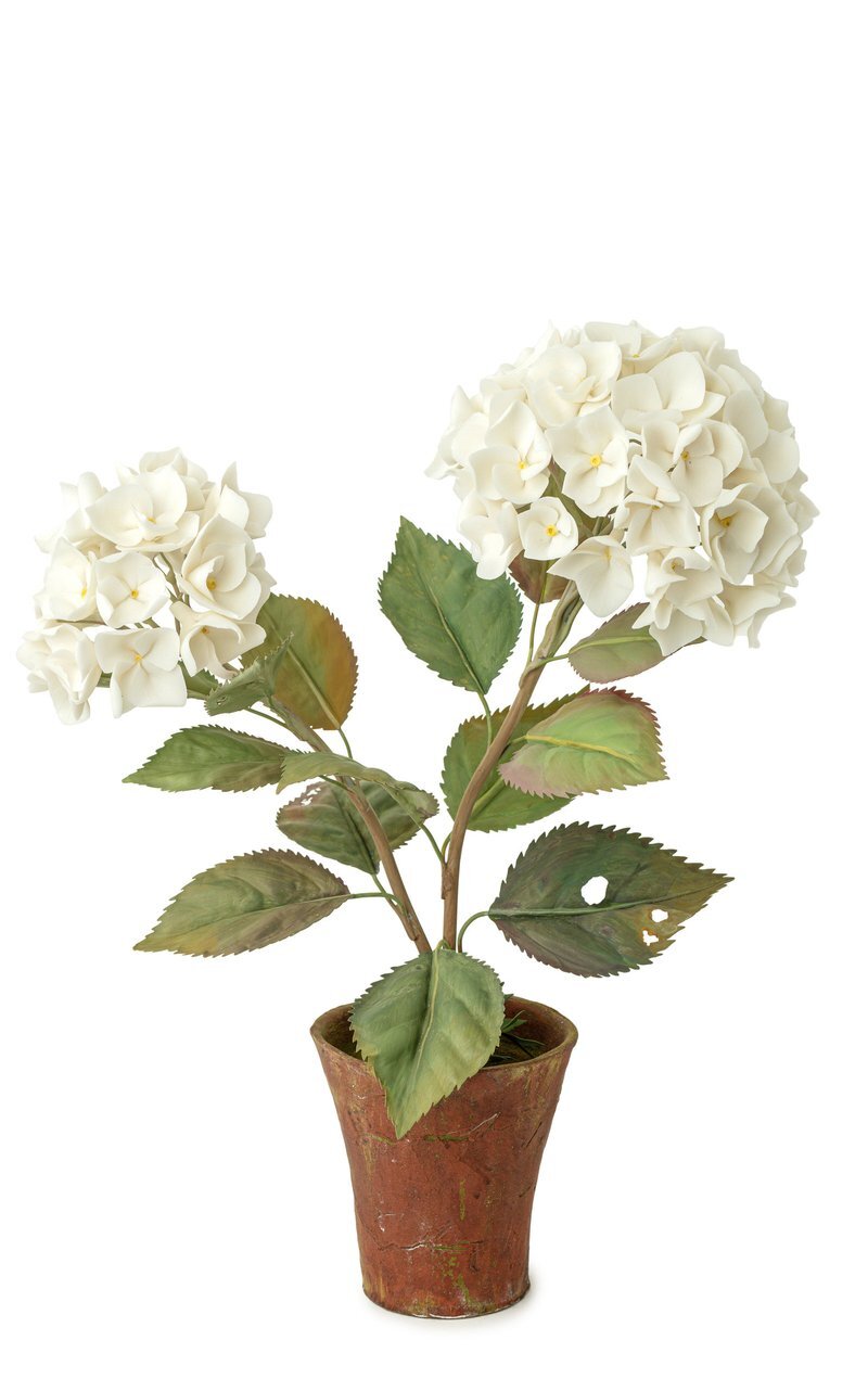 large_vladimir-kanevsky-multi-dual-hydrangea-porcelain-sculpture.jpg