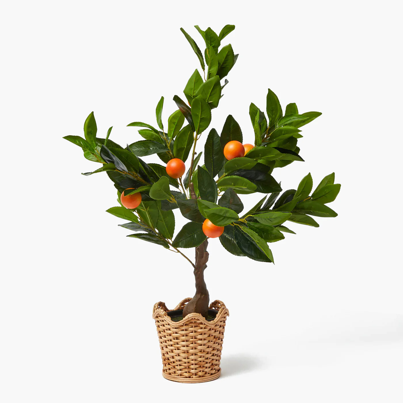 jardin-de-palmier-white-product-155_a519fbce-b53b-4349-8e30-a108a846a4fb.png