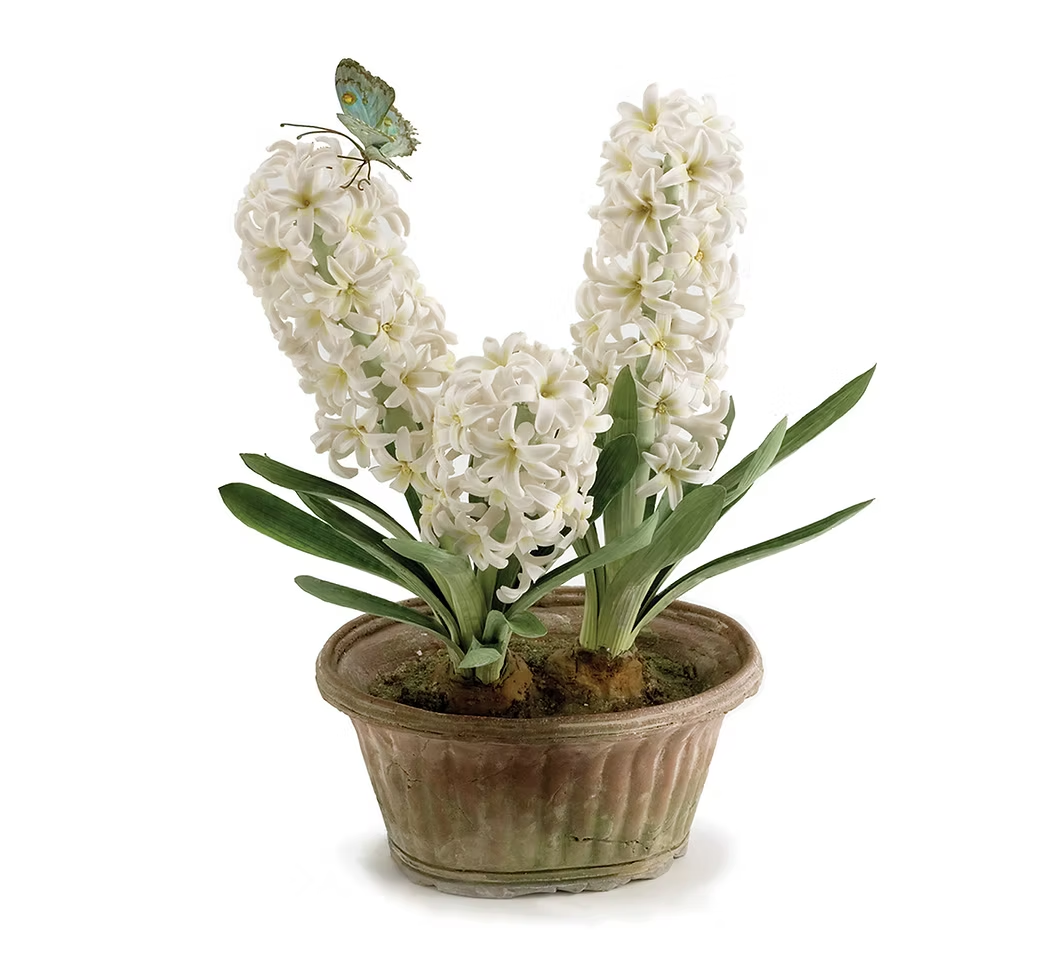 image (32).png