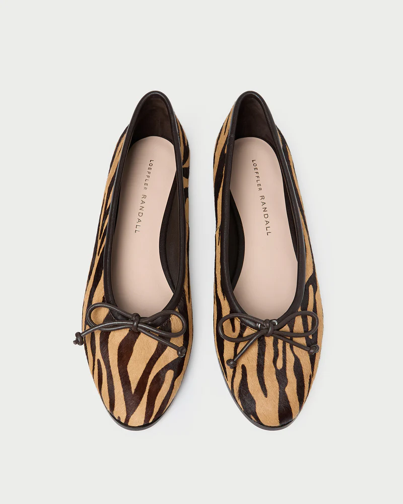 NOELLE-HC-ZEBRA_3.png