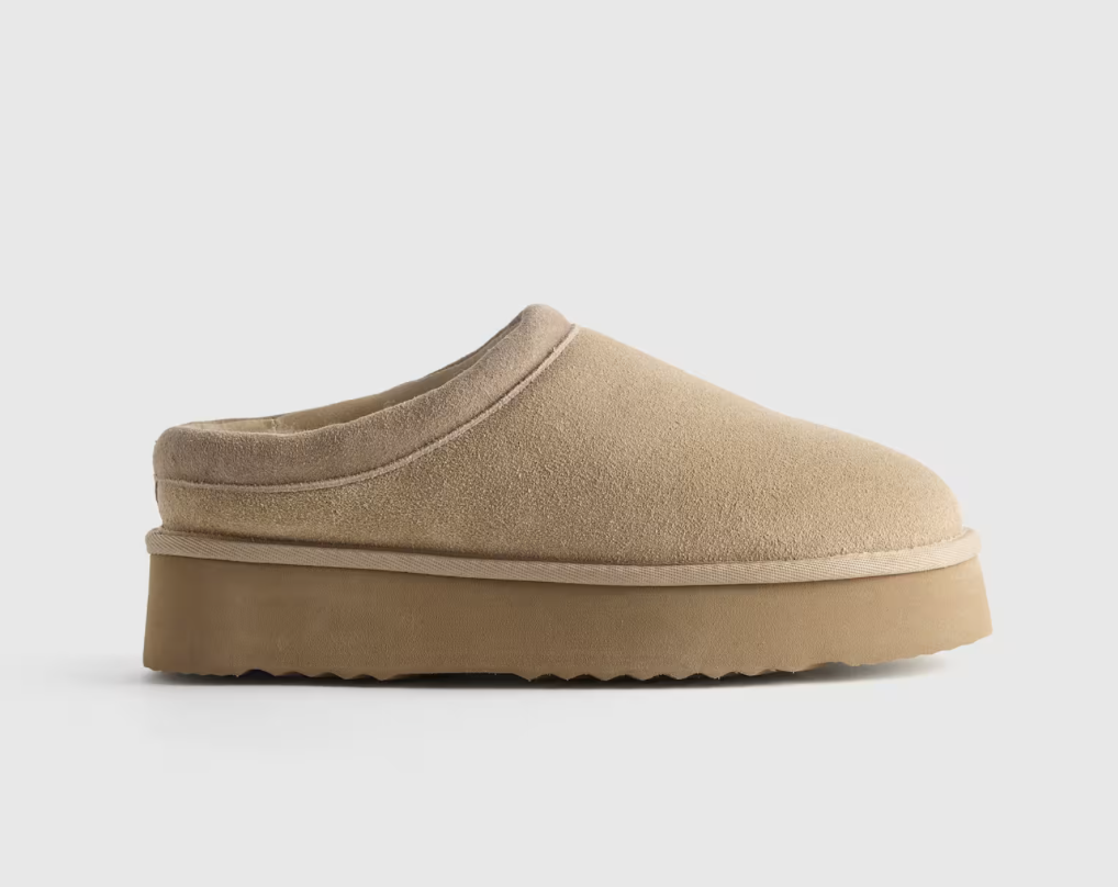 Screenshot 2026-01-31 at 5.18.49 PM.png