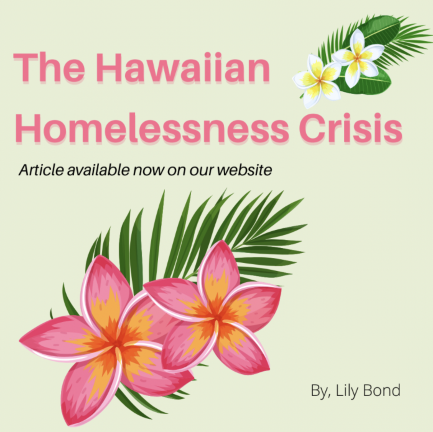The Hawaiian Homelessness Crisis — The HomeMore Project