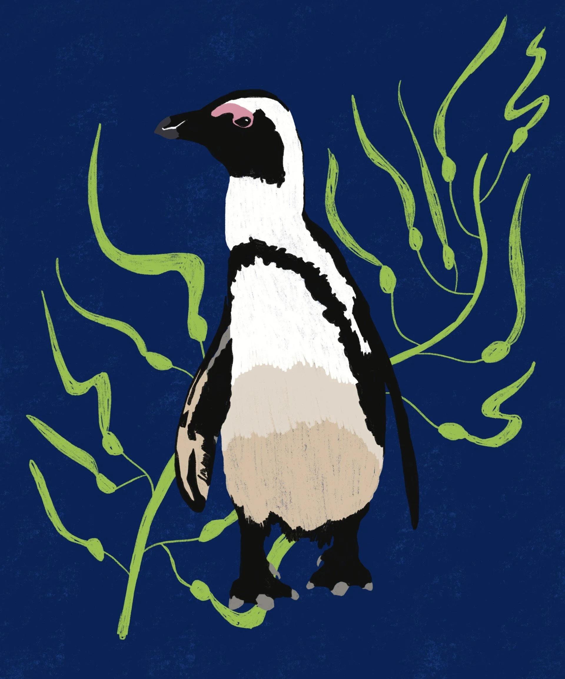 penguin.jpg