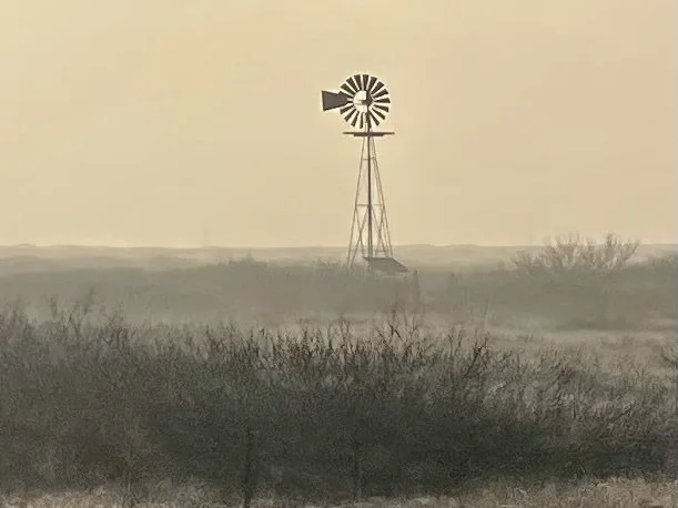 California 👉 Texas