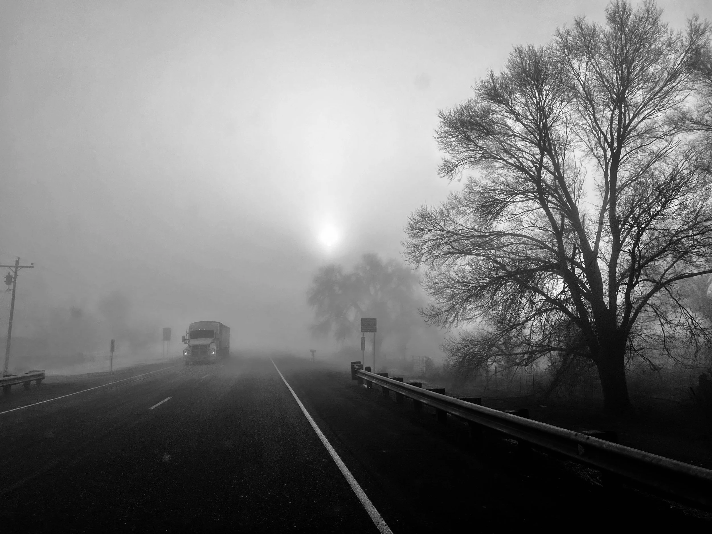 fog.jpg