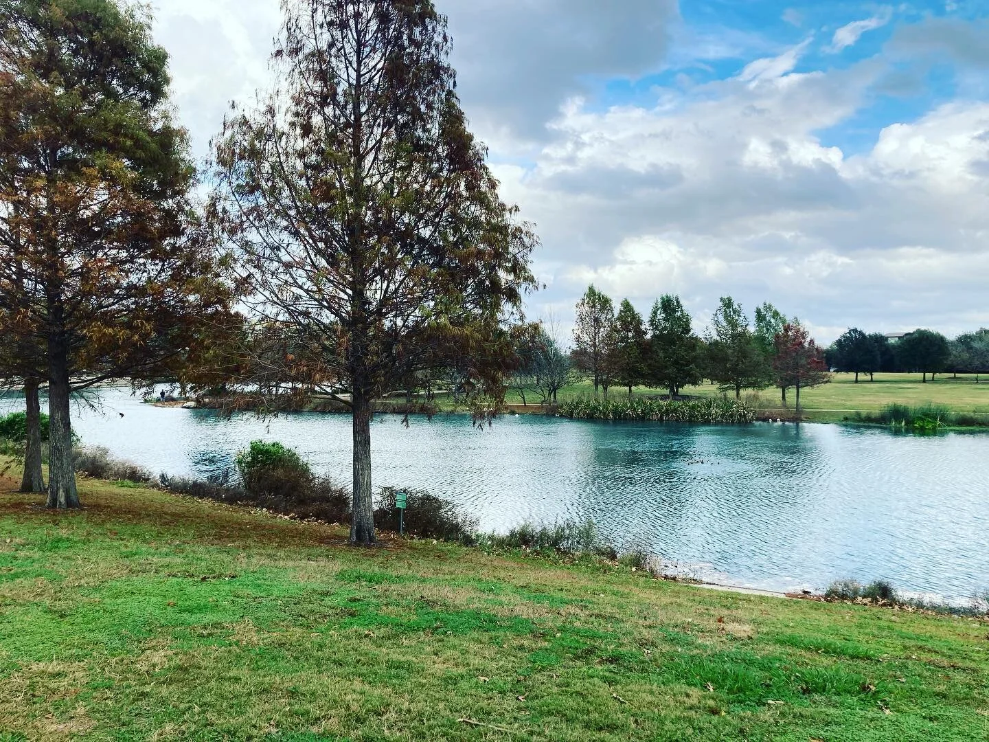 Walking. Gazing. Sighing. Stopping. Kissing. Smelling. Appreciating. Being. #mindfulness #meditation #traumainformedyoga #yogateacher #motherhood #sati #walk #breathe #beinghuman #meditatedaily #dhyana #postpartum