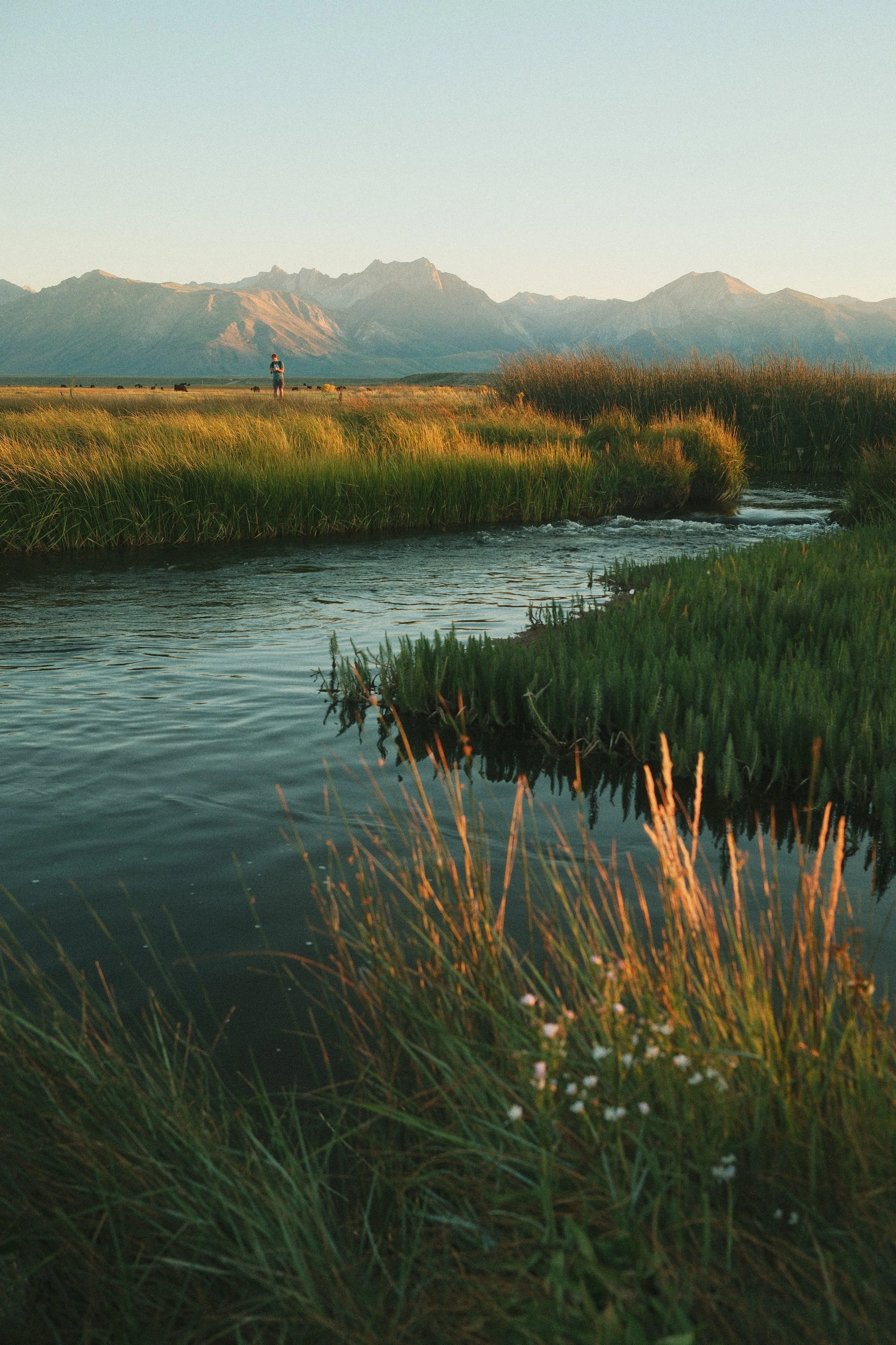EasternSierra4 2.JPG