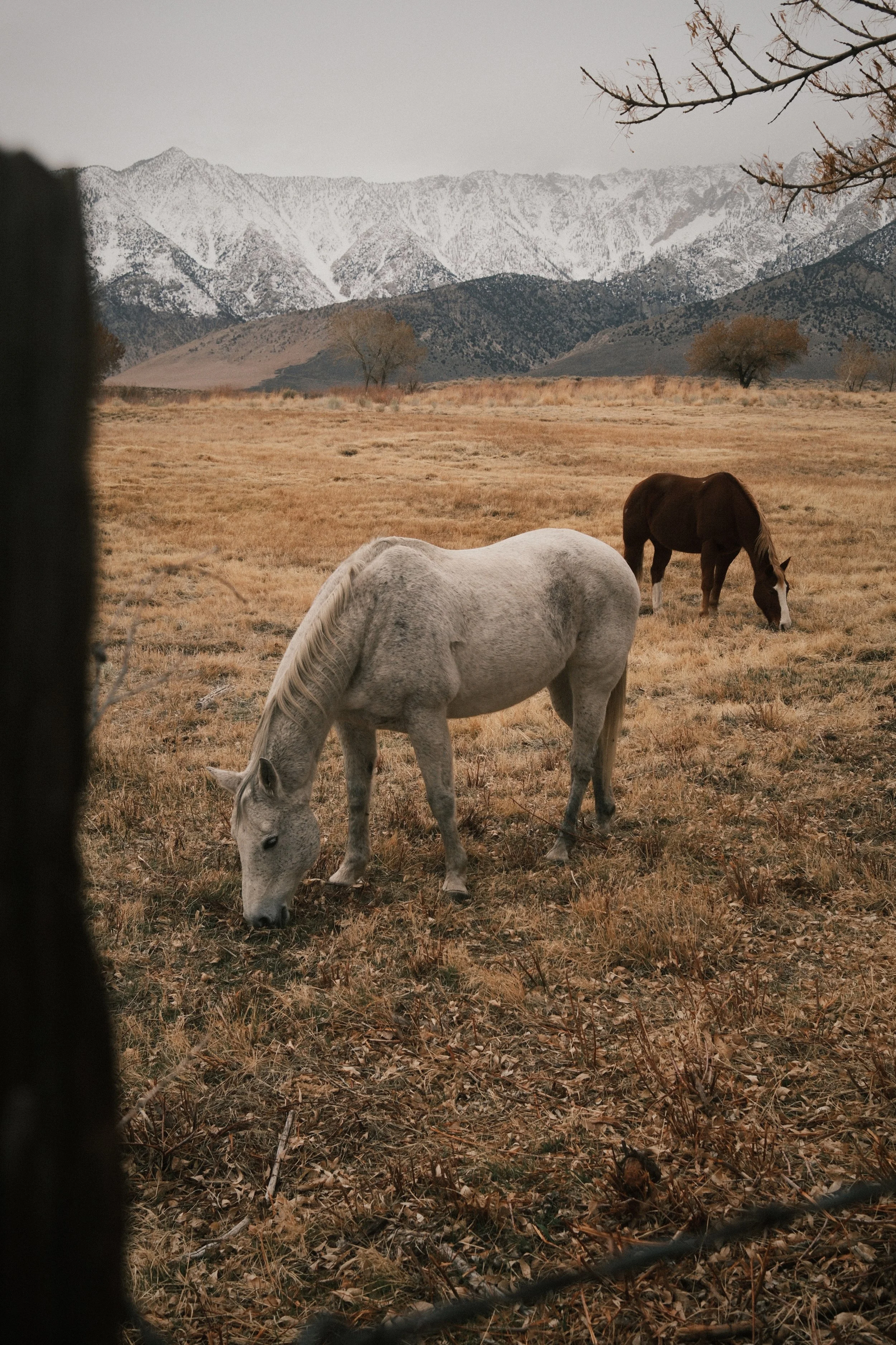LonePine_DeathValley-5970.jpg