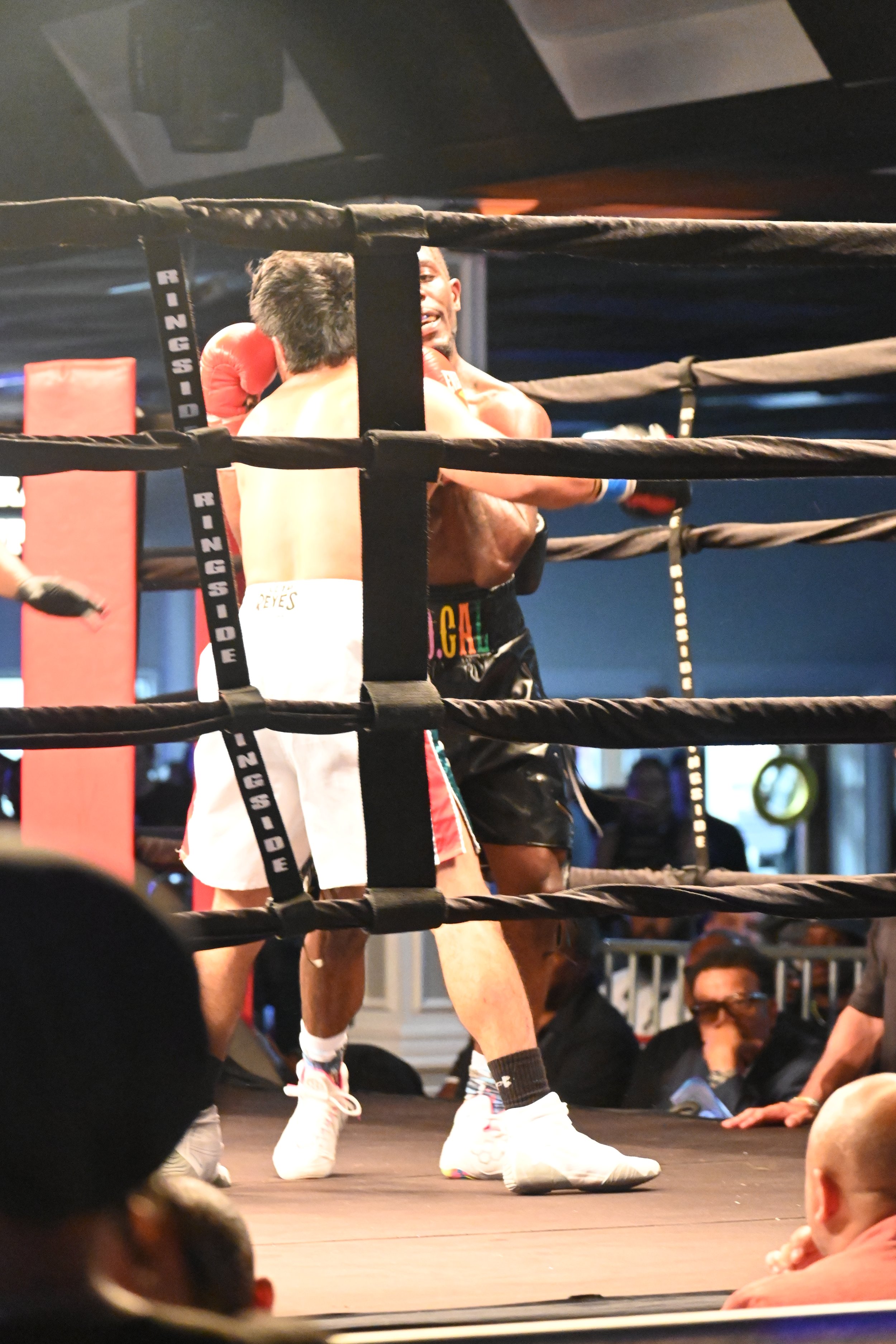 DSC_6566.JPG