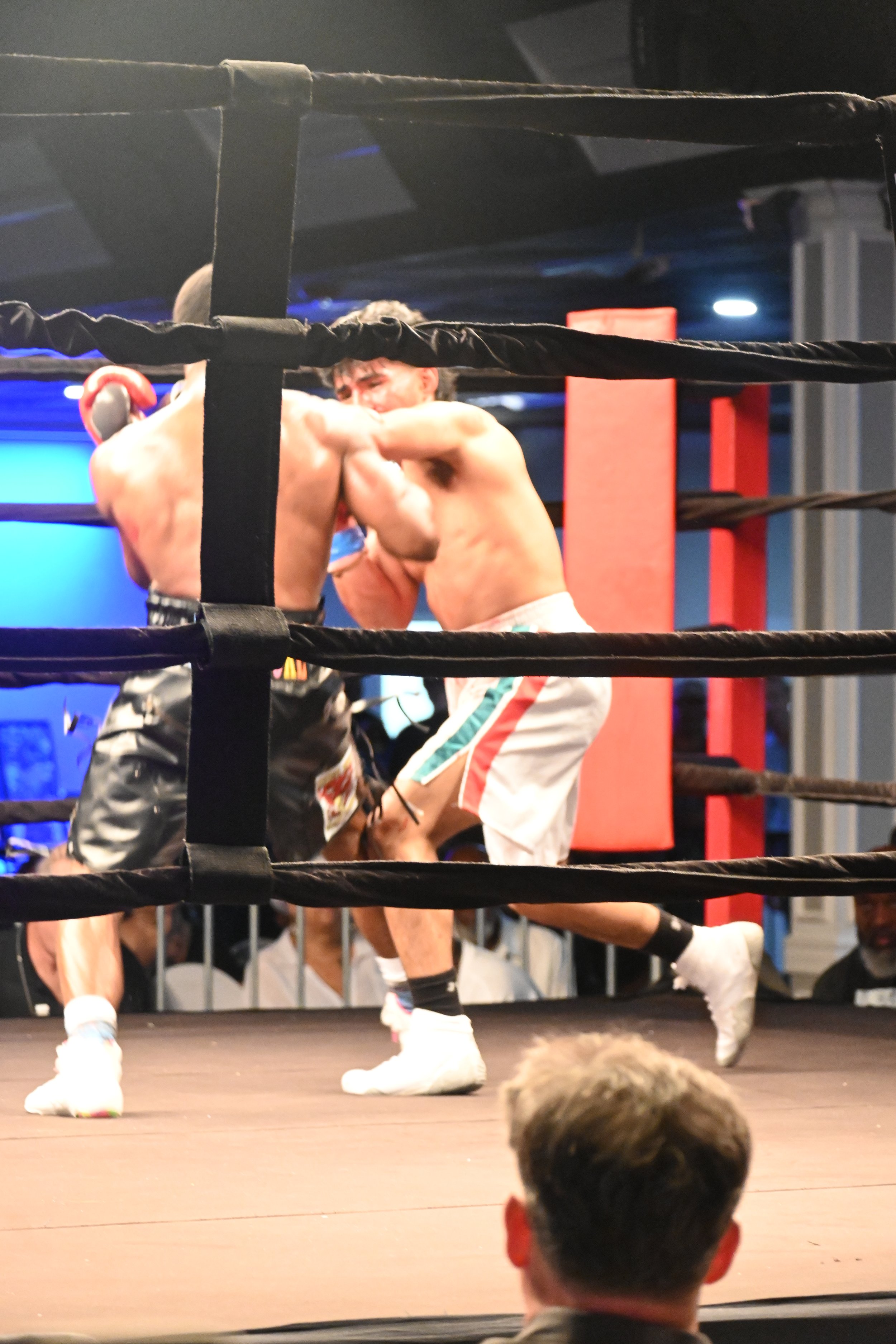 DSC_6604.JPG