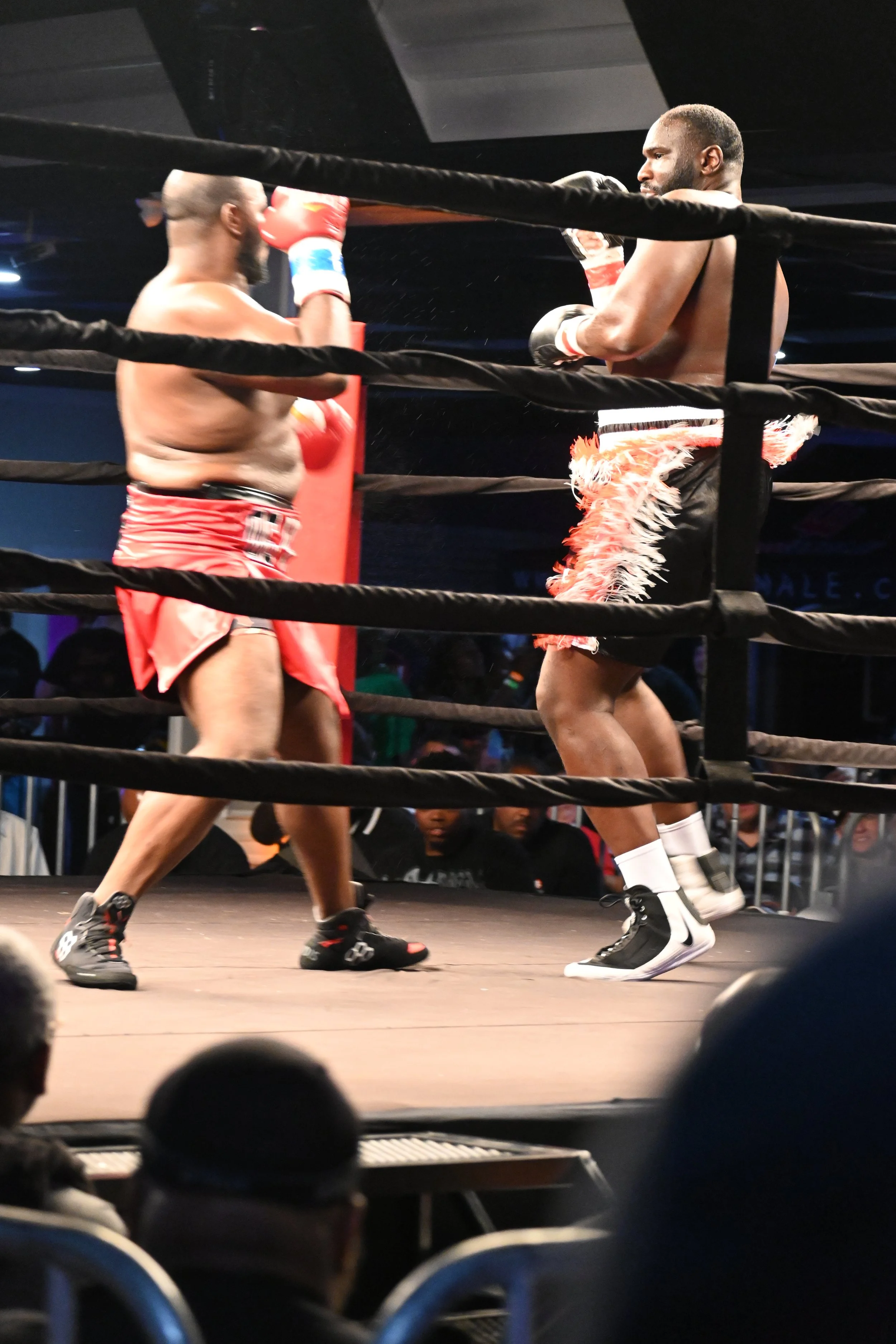 DSC_6748.JPG