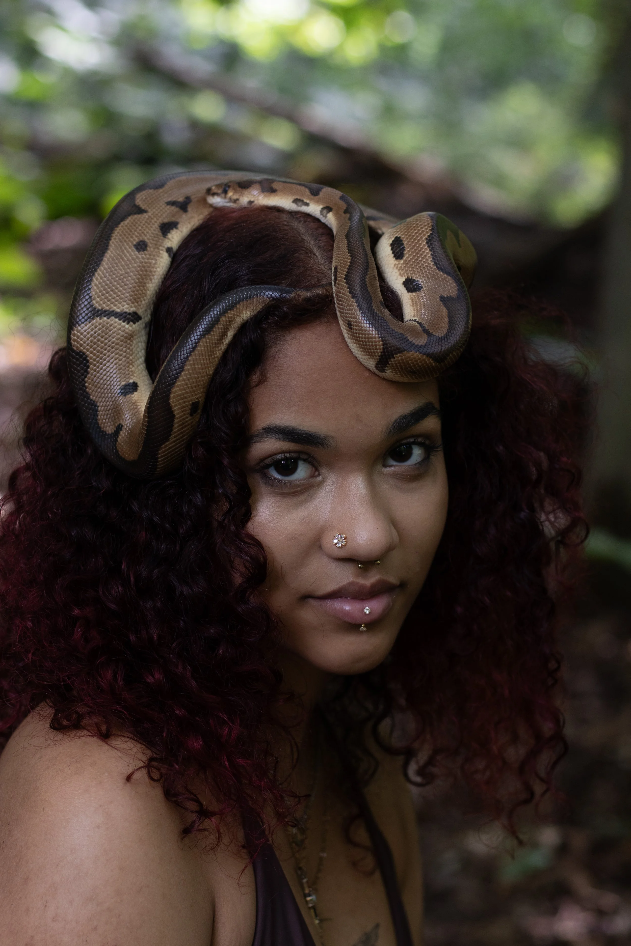 Exotic animal photoshoot pt3-24.jpg