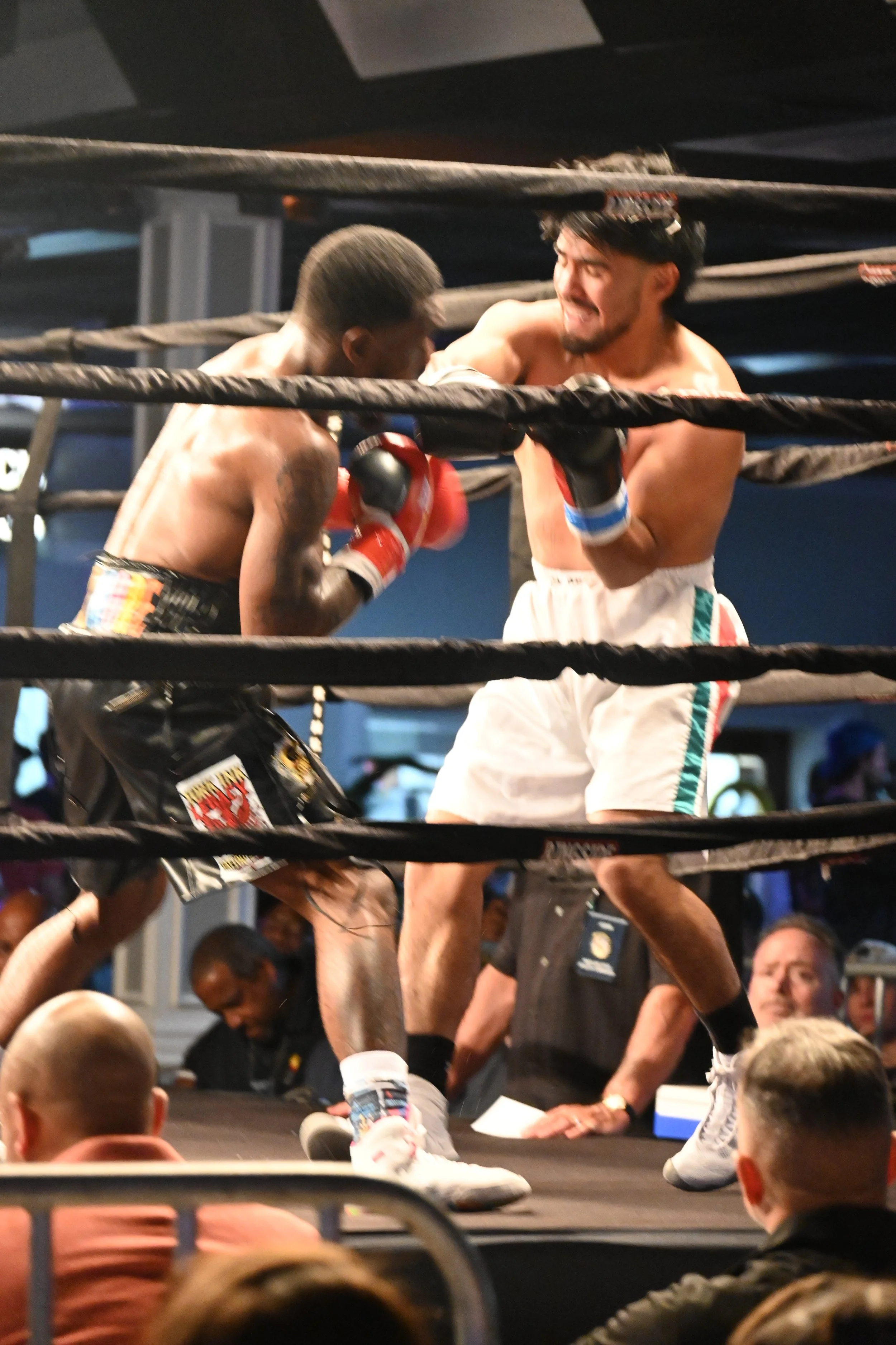 fight photos
