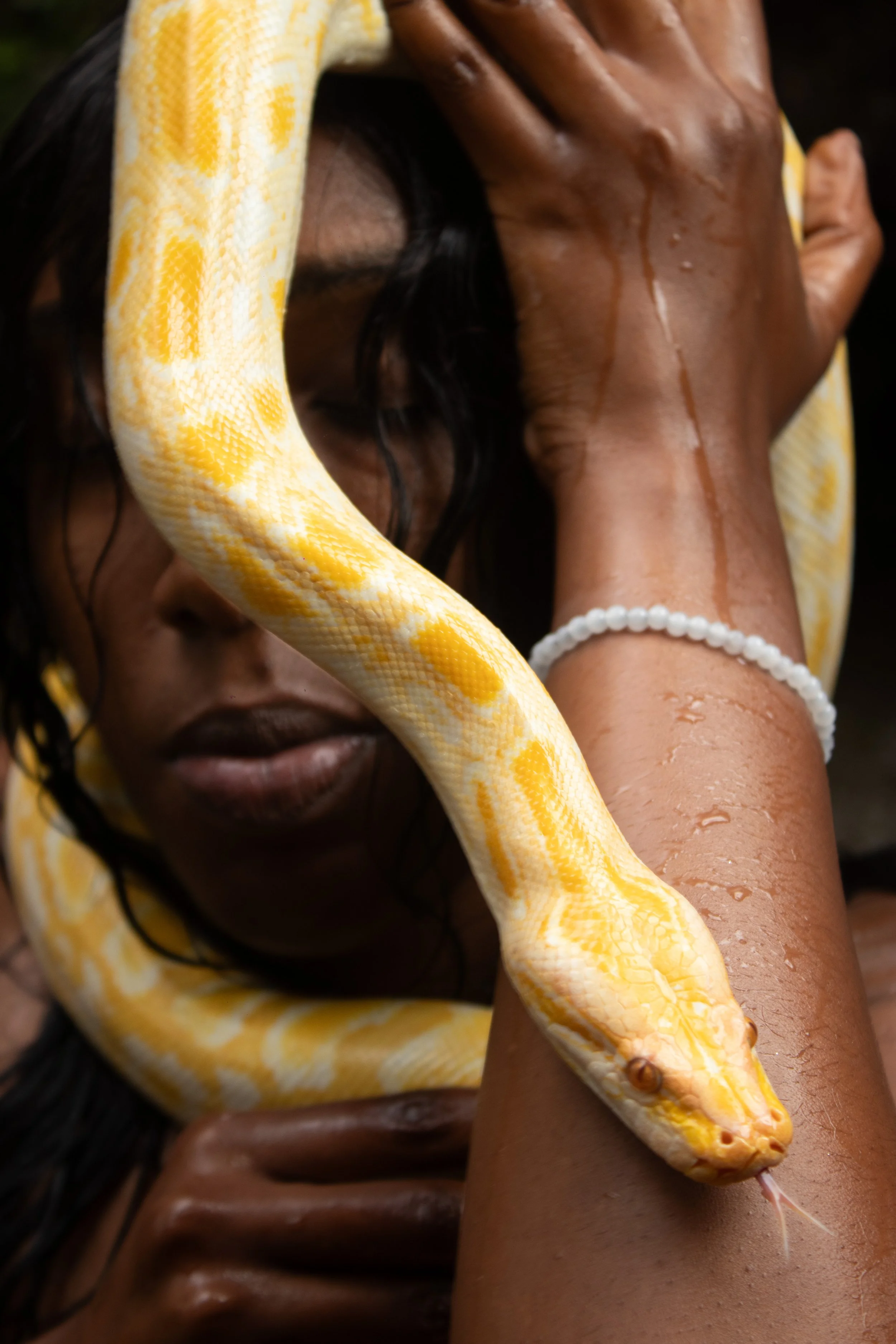 Exotic Animal Photoshoot pt2- 104.jpg