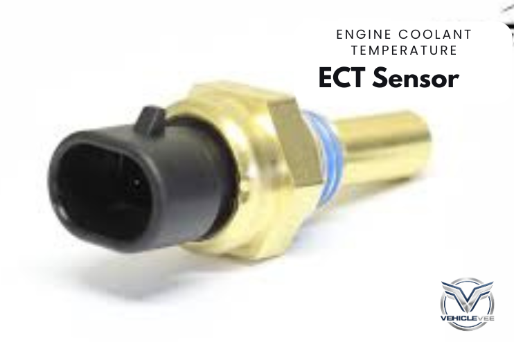 ECT sensor