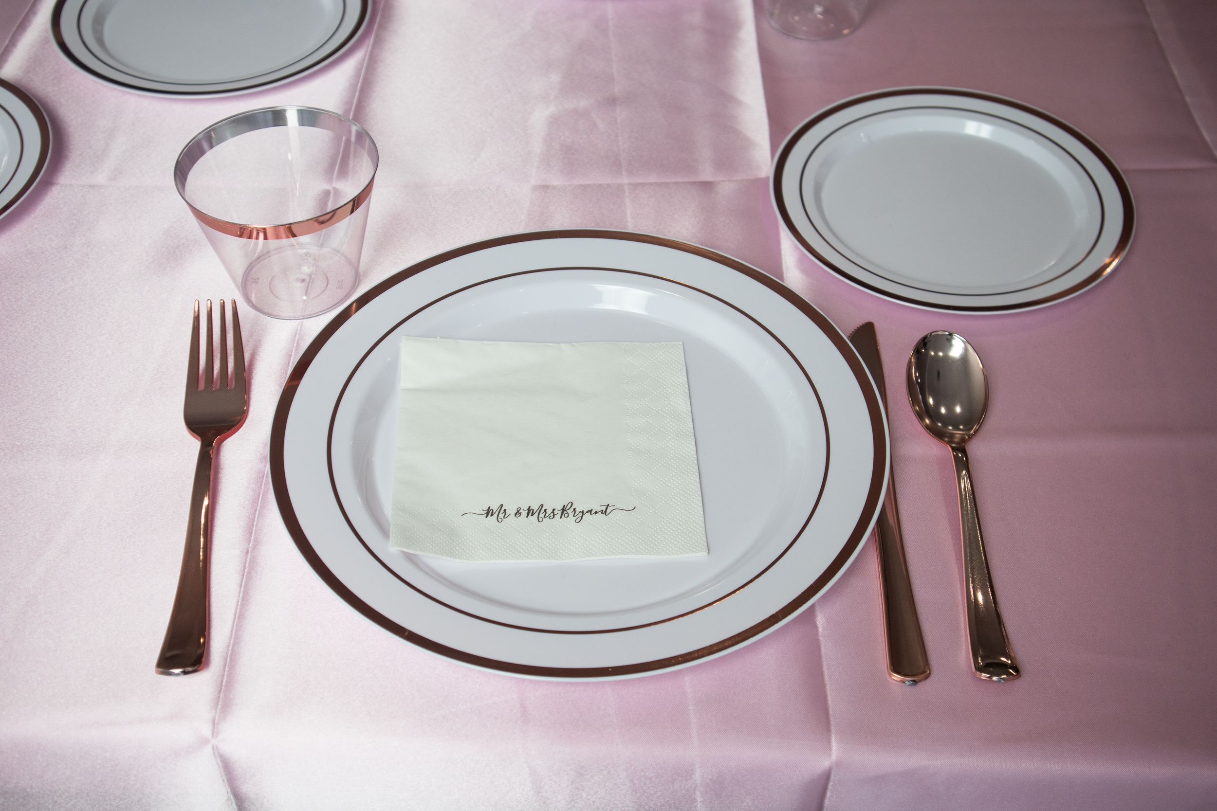 Ashley Wedding- 1.png