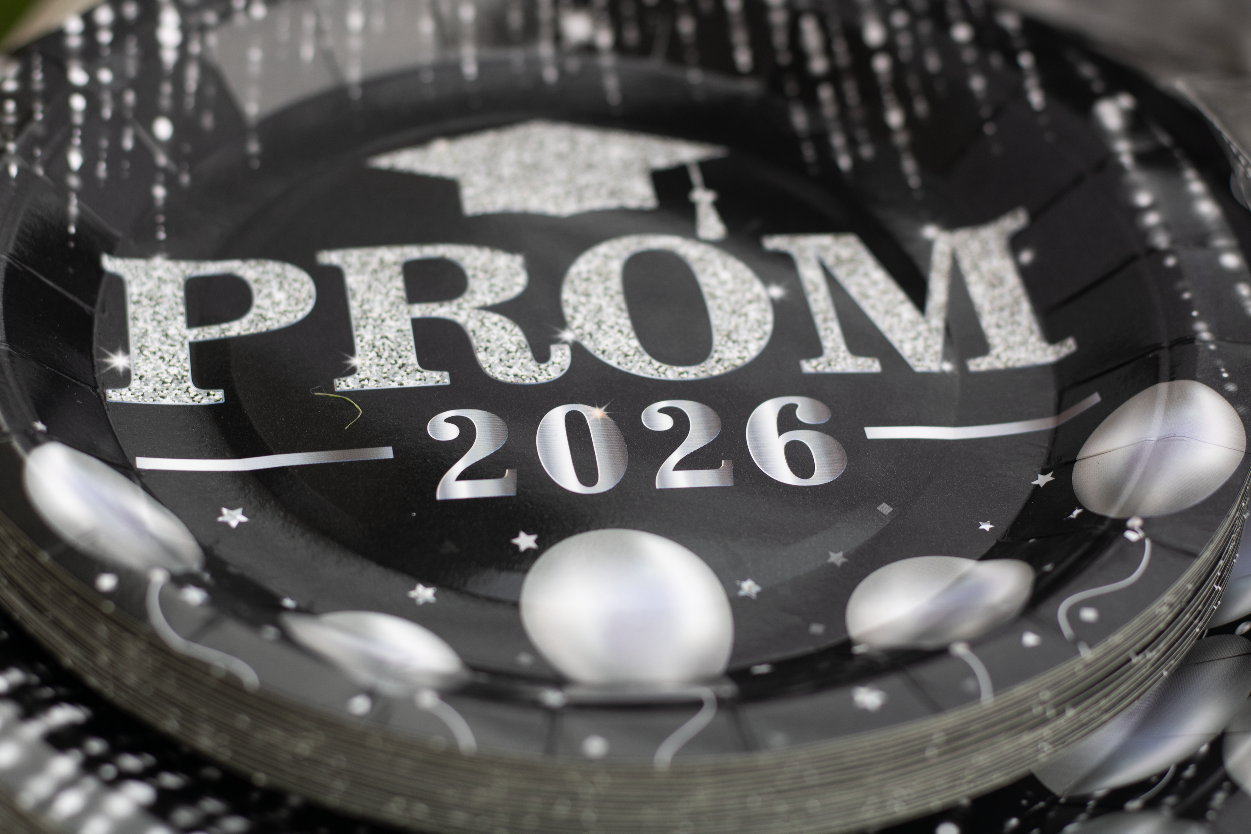 Tanija's prom send off 2026- 8.png