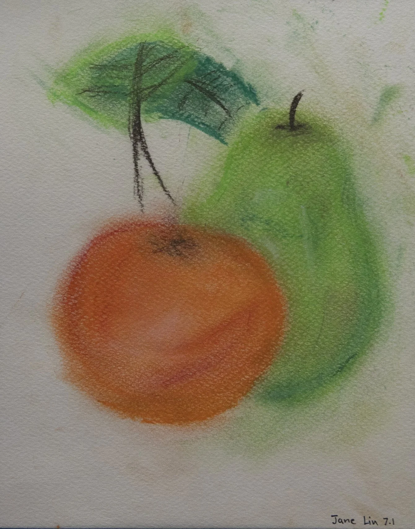 Year 7 Studio Arts - Observational drawings in chalk pastel and pencil 