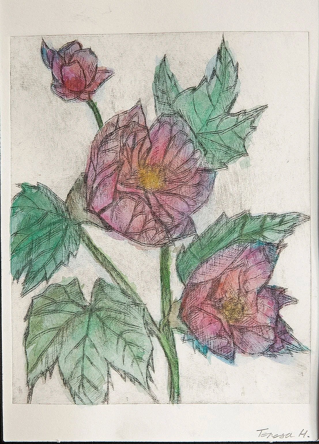 Year 10 Studio Arts - Printmaking using etching techniques, intaglio inks and watercolour 