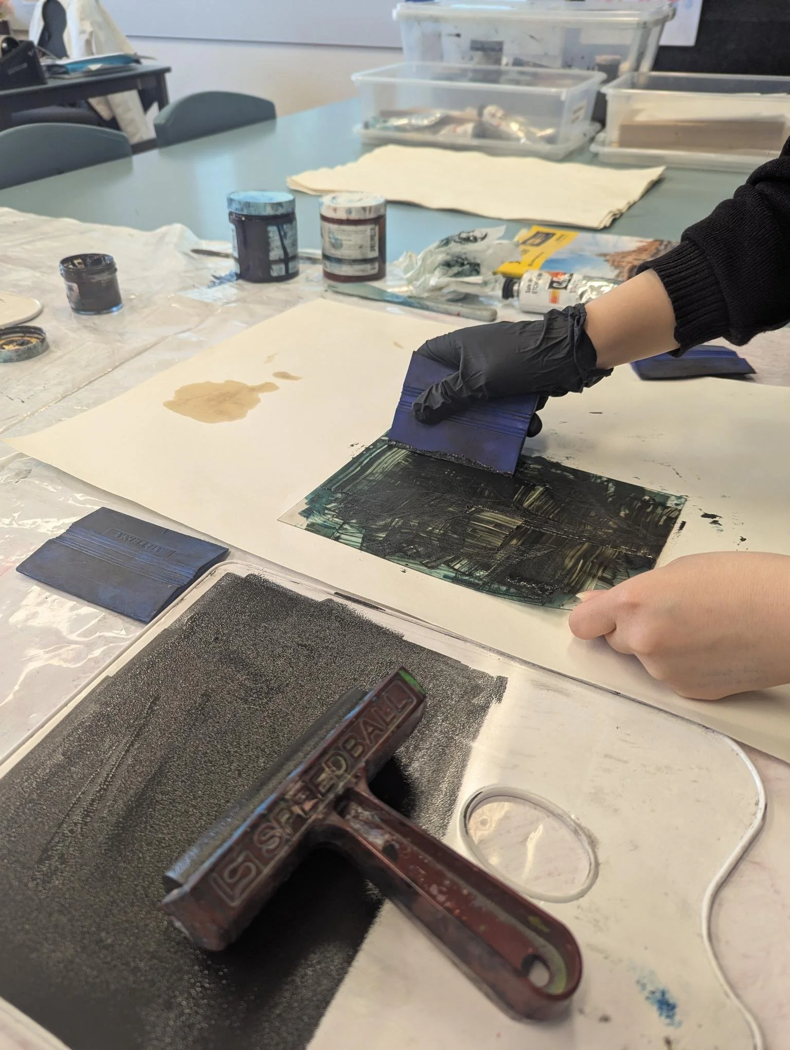 shared image (4).jpeg