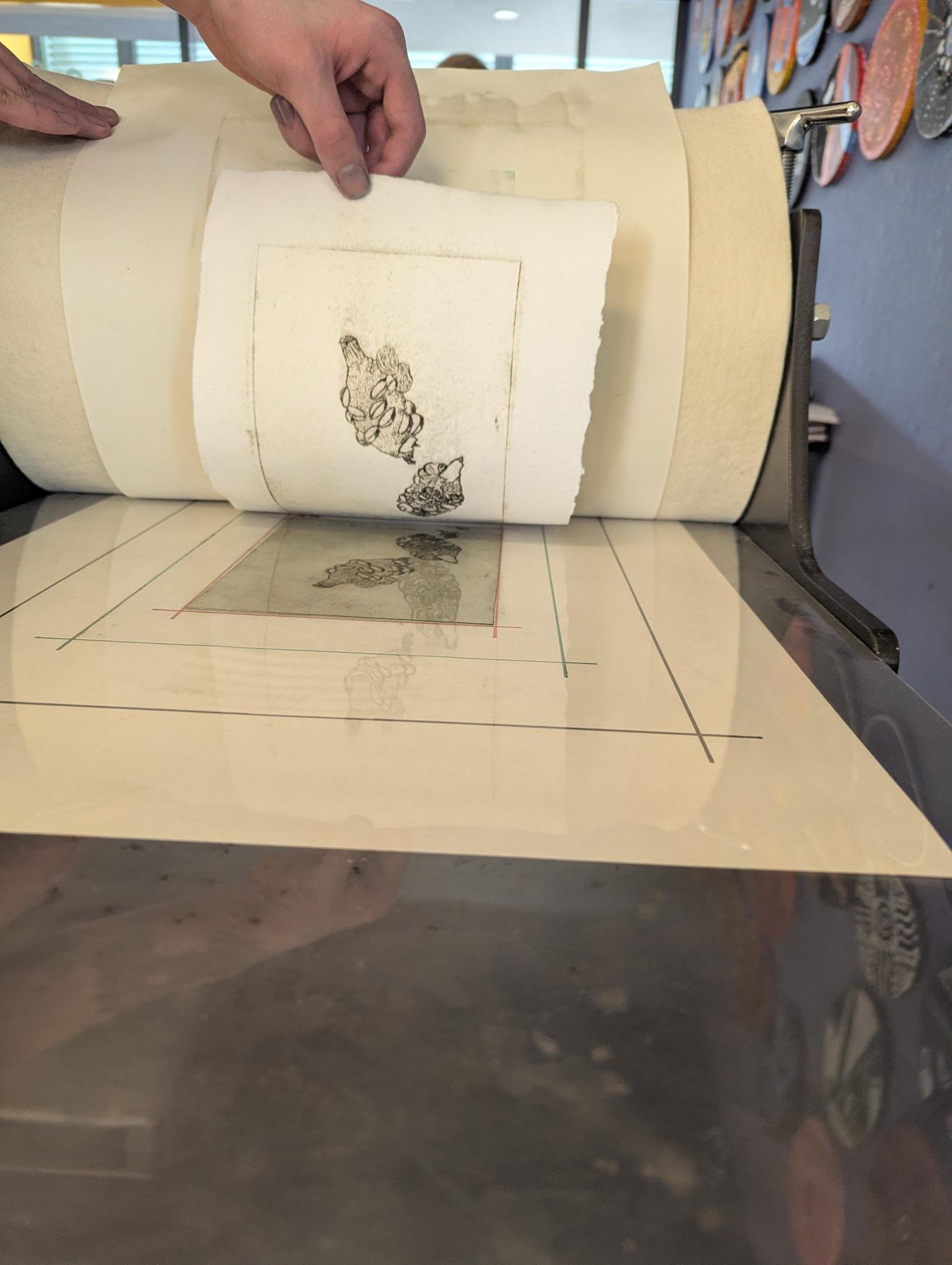 shared image (9).jpeg