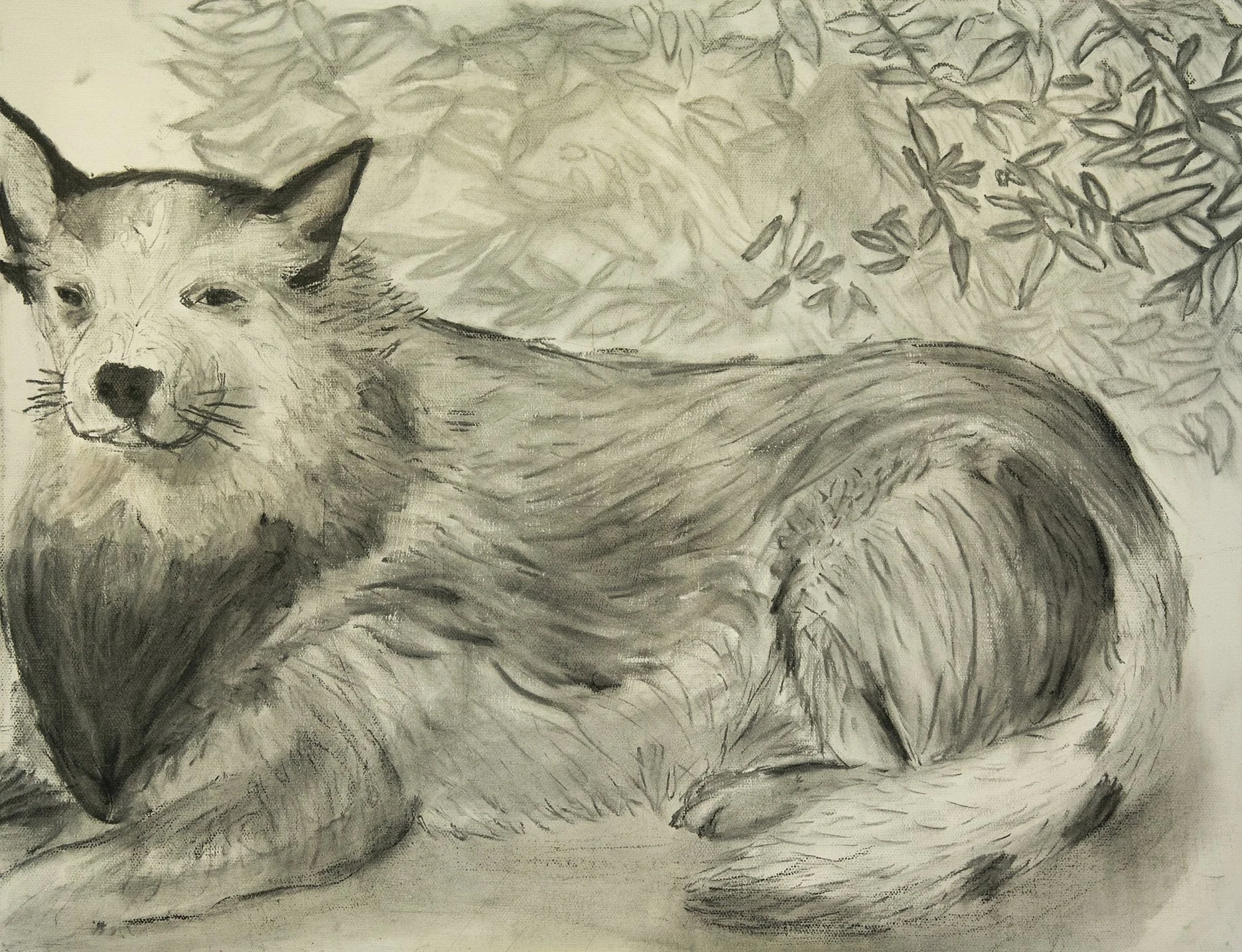 Year 10 Studio Arts - Painting 