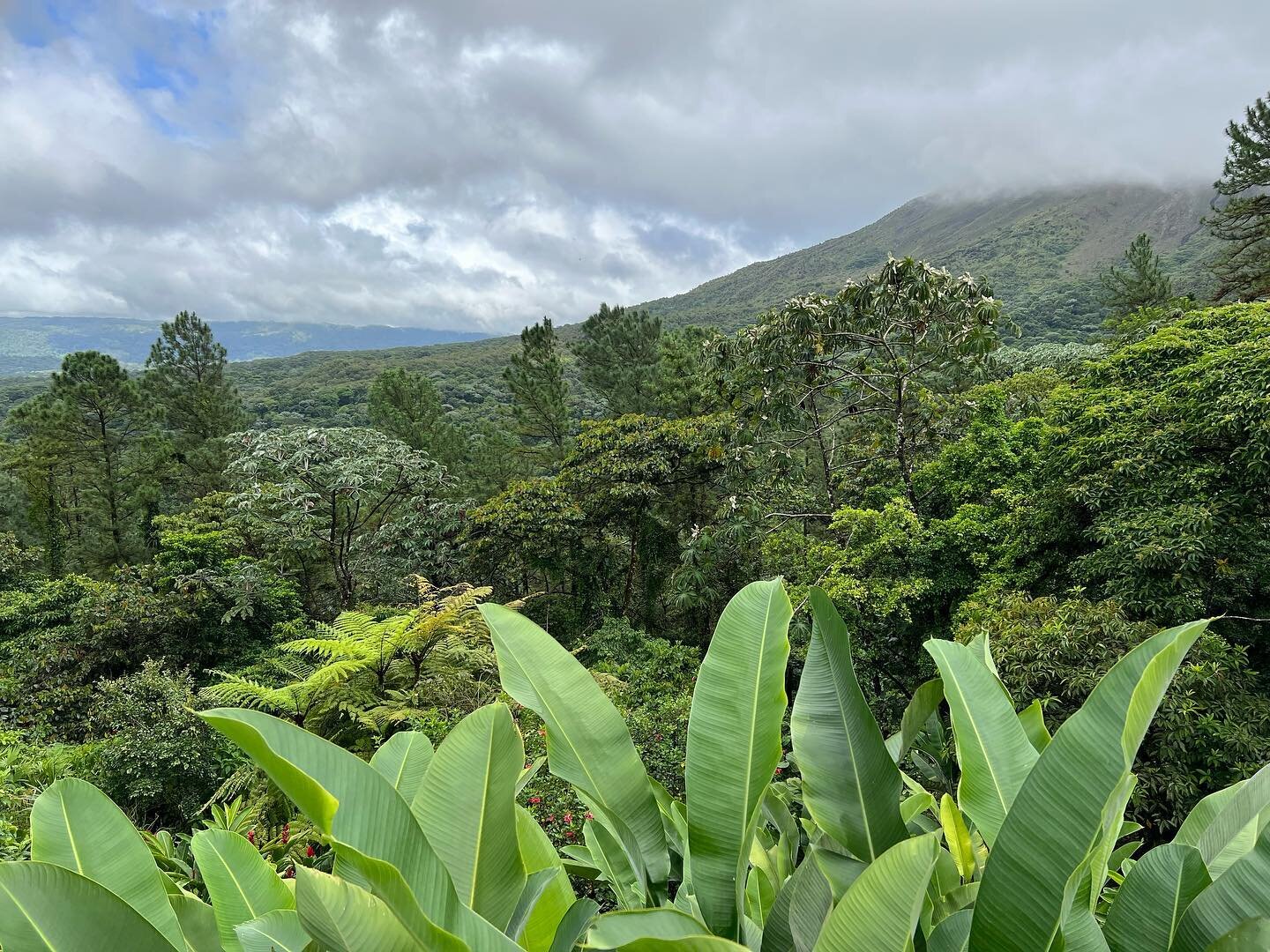 Today has been incredible.

Hiking in the rainforest, three waterfalls all to ourselves, tons of birds, a bird&rsquo;s eye view from &ldquo;the nest,&rdquo; volcanos, downpours, sunshine, everything in between, good music, good food, and just a wonde