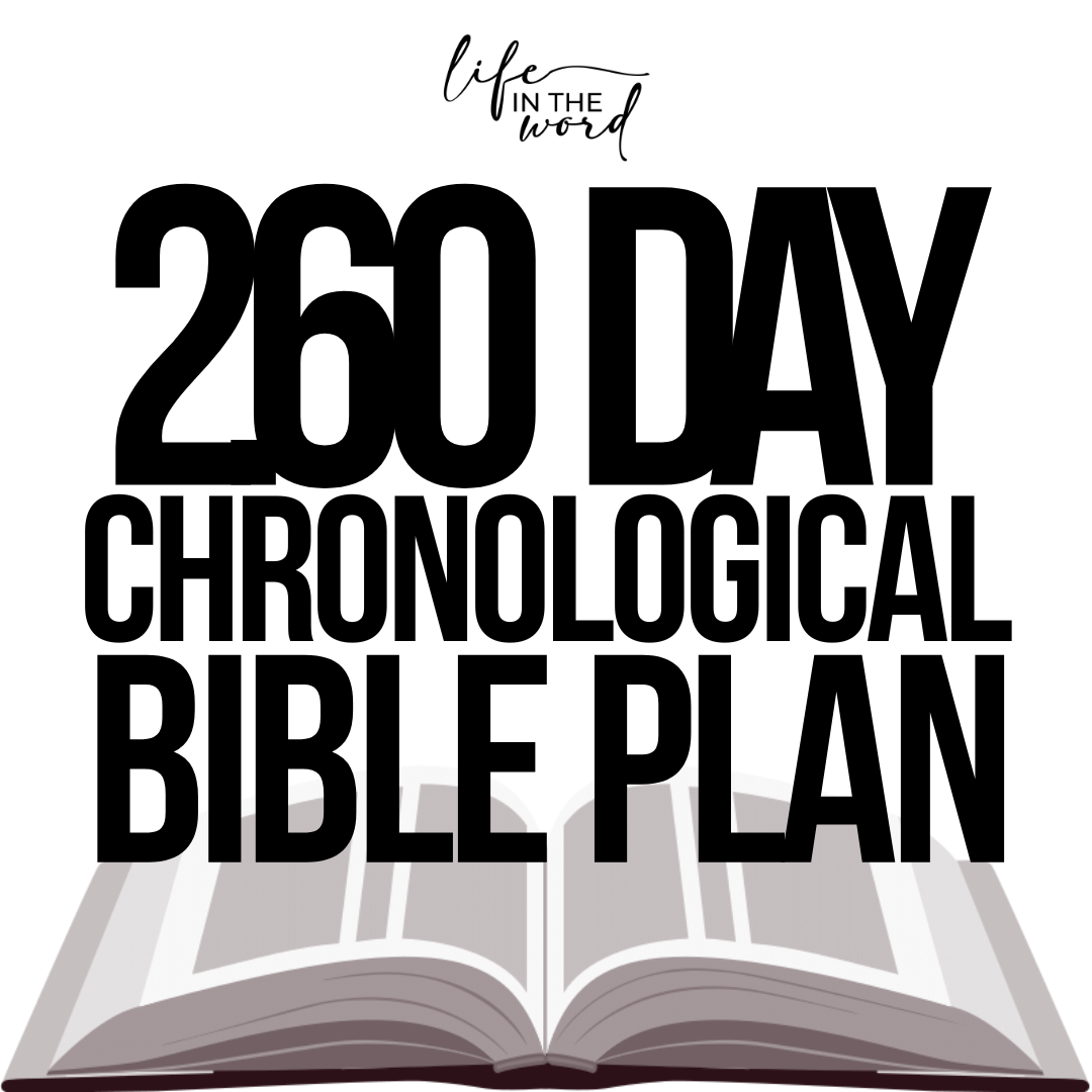 260 Day Chronological Bible Plan