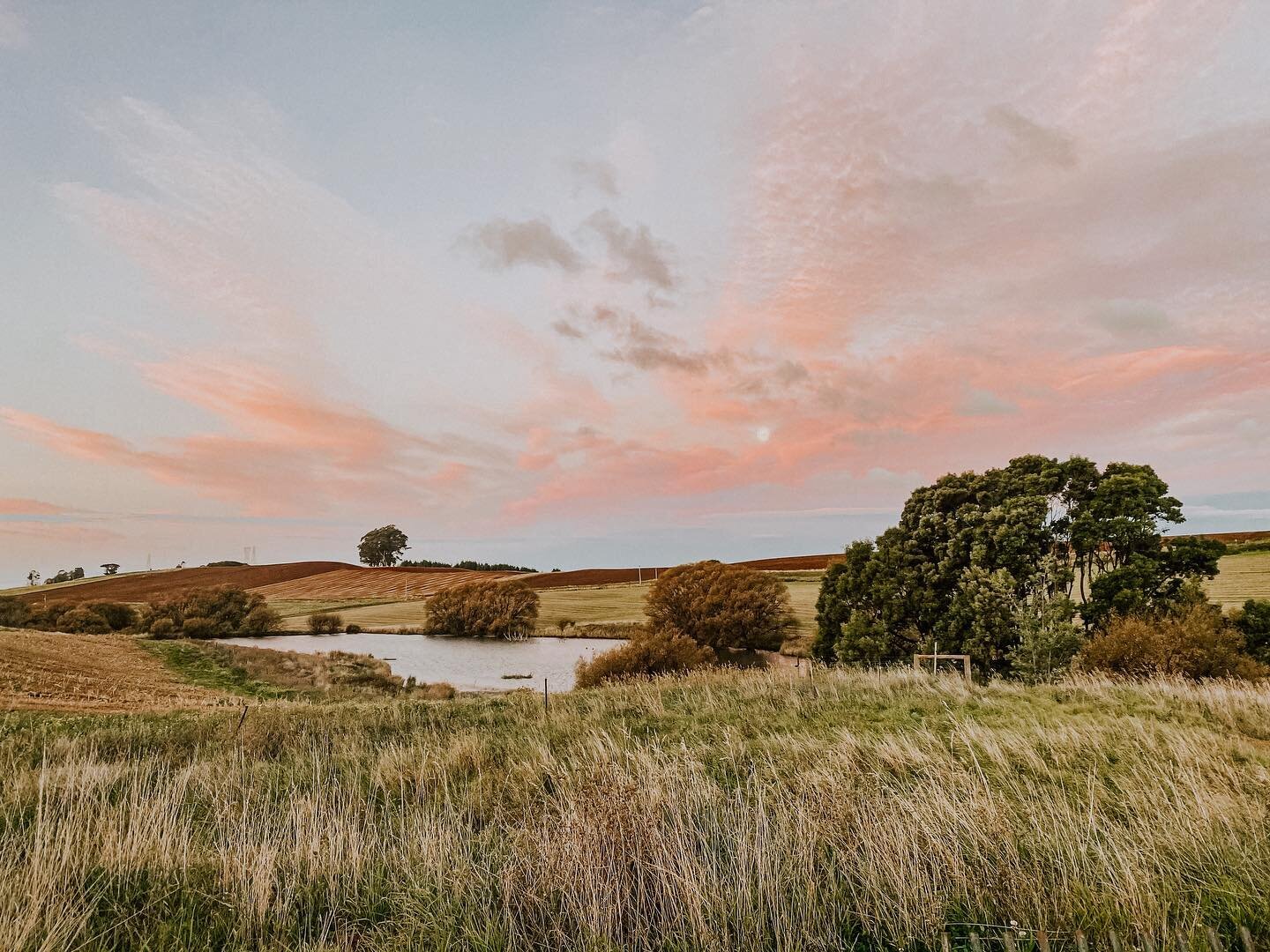 Amid the bustle of harvest and groundwork happening on the farm, these autumnal sunsets are a cherished moment of calm. 

As the sky turns to fairy floss and the west winds still, you might just be lucky enough to glimpse a platypus bathing in the cr