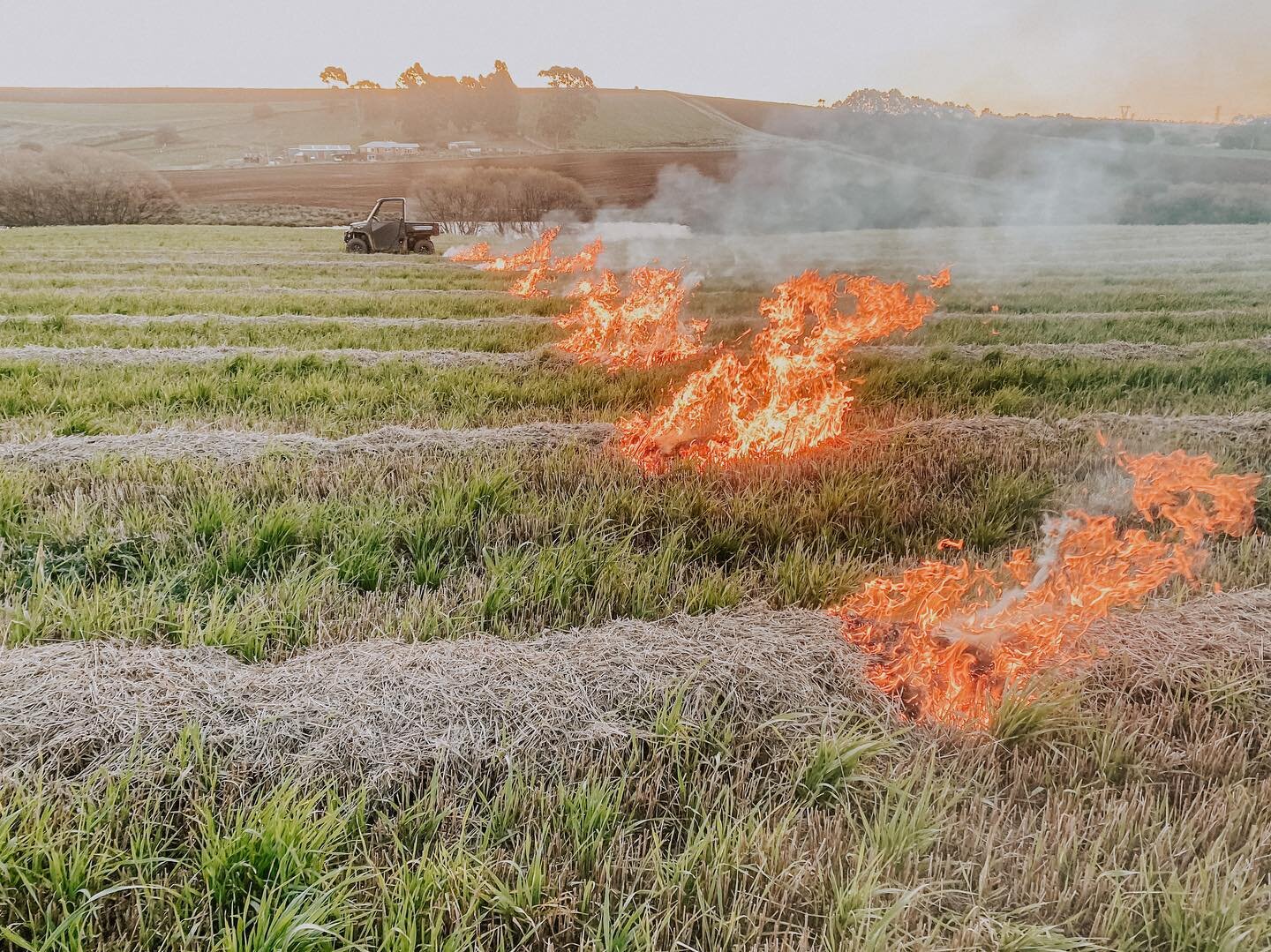 The rain came, the windrows turned green and we gave up on the possibility of turning the barley straw into pellets. So here we are, burning the stubble so that we can prepare the ground for the next crop.

This is exactly the kind of thing we&rsquo;