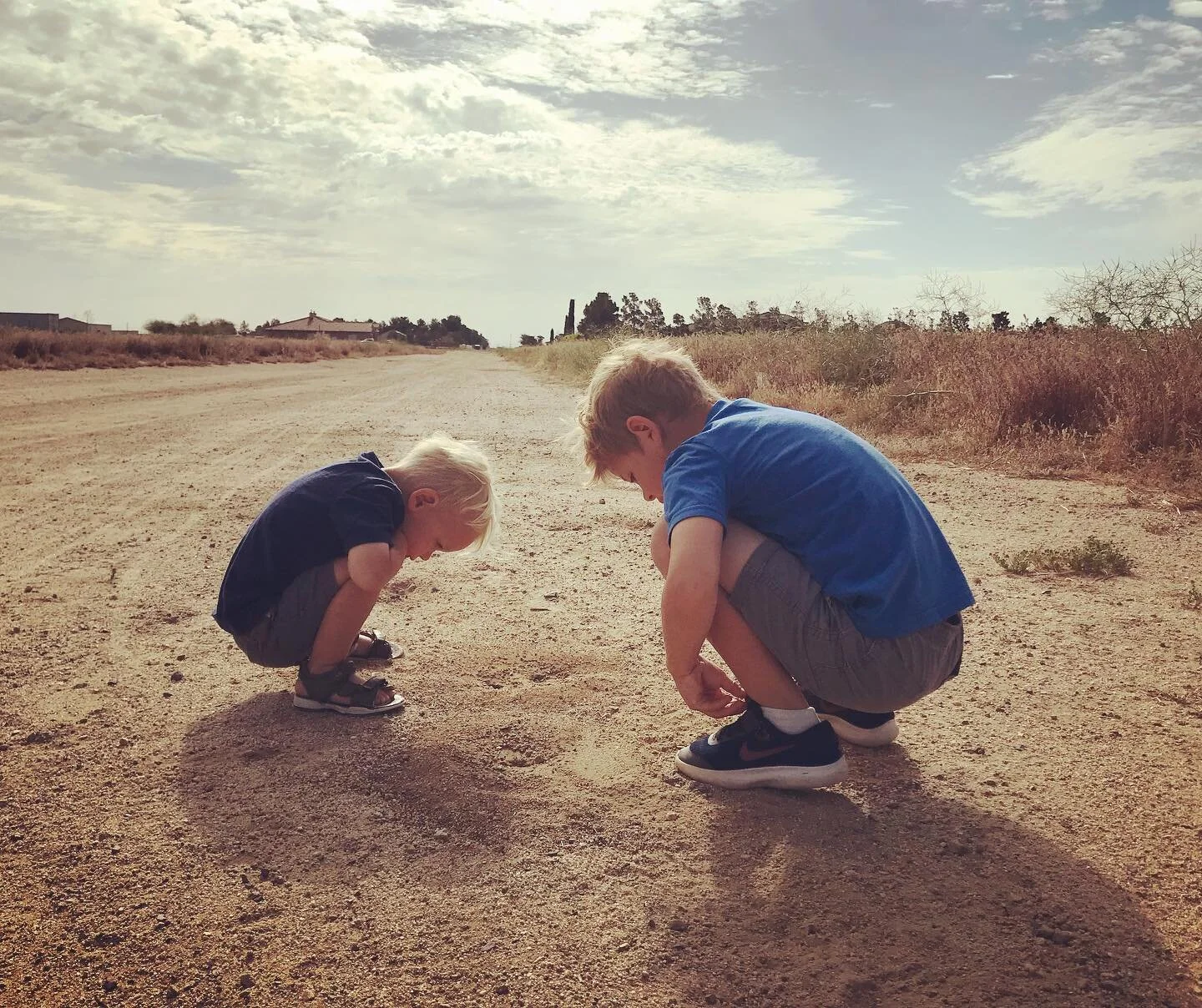 So, tell me, how have you enjoyed &ldquo;A is for Ants&rdquo; week? I&rsquo;d LOVE to hear which books and activities you and your little ones had fun with this week! 

Did your kids get WAY into the marching as they learned this week&rsquo;s song?

