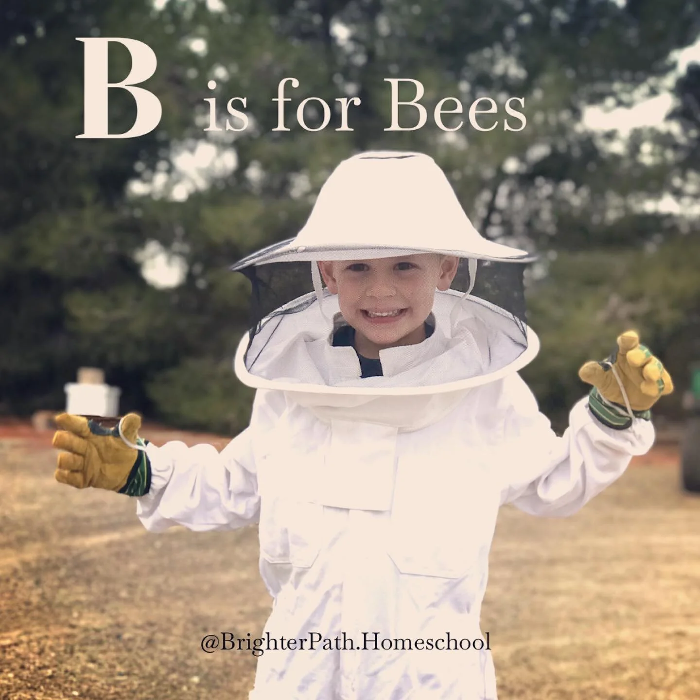 🐝 B is for Bees! (and Blueberries) 🐝
This week in the Brighter Path Preschool Plan we&rsquo;ll be reinforcing the letter B by:
🐝 Reading books about bee colonies and beekeeping
🐝 Gathering pom-pom &ldquo;pollen&rdquo; with tongs
🐝 Eating honey o
