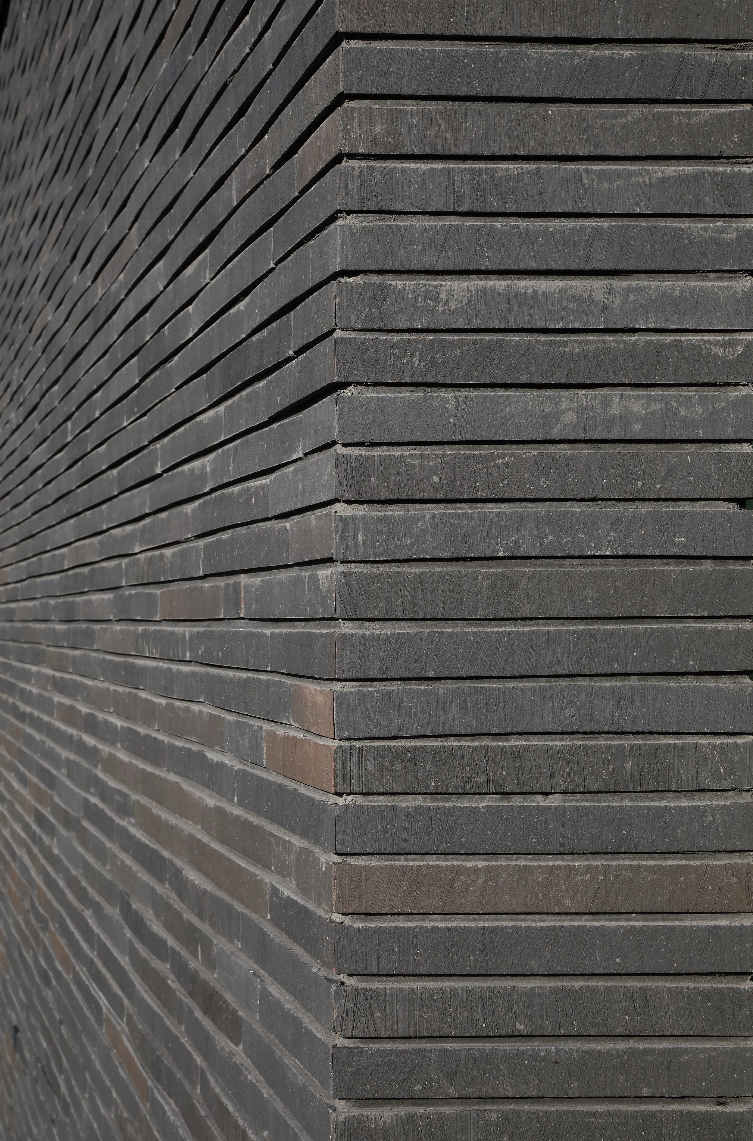 Hofman Animal Care, Enter - ©Harry Noback (5).jpg