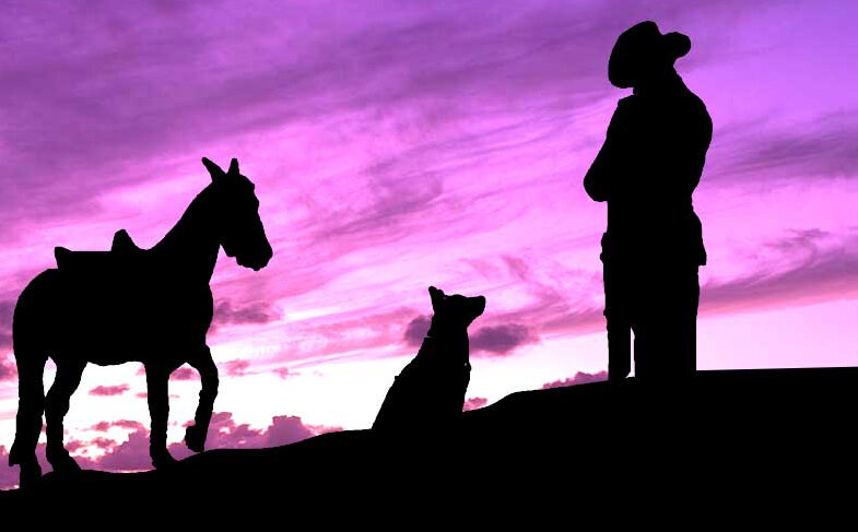 This ANZAC Day let&rsquo;s not forget the many beautiful animals who fought bravely alongside the human heroes and who also shed their blood and lost their lives. 

They shall grow not old, as we that are left grow old;
Age shall not weary them, nor 