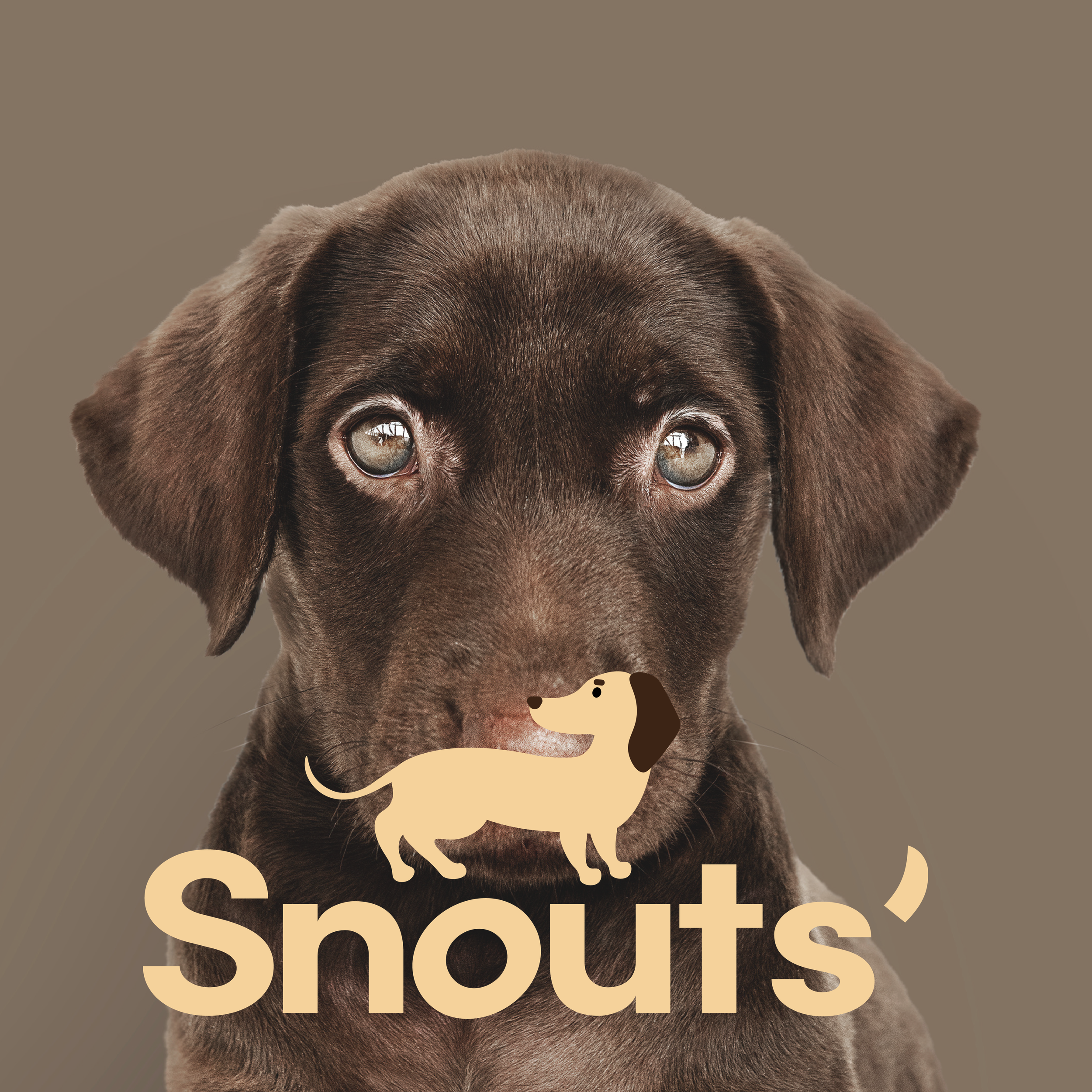 Snouts' Project.png