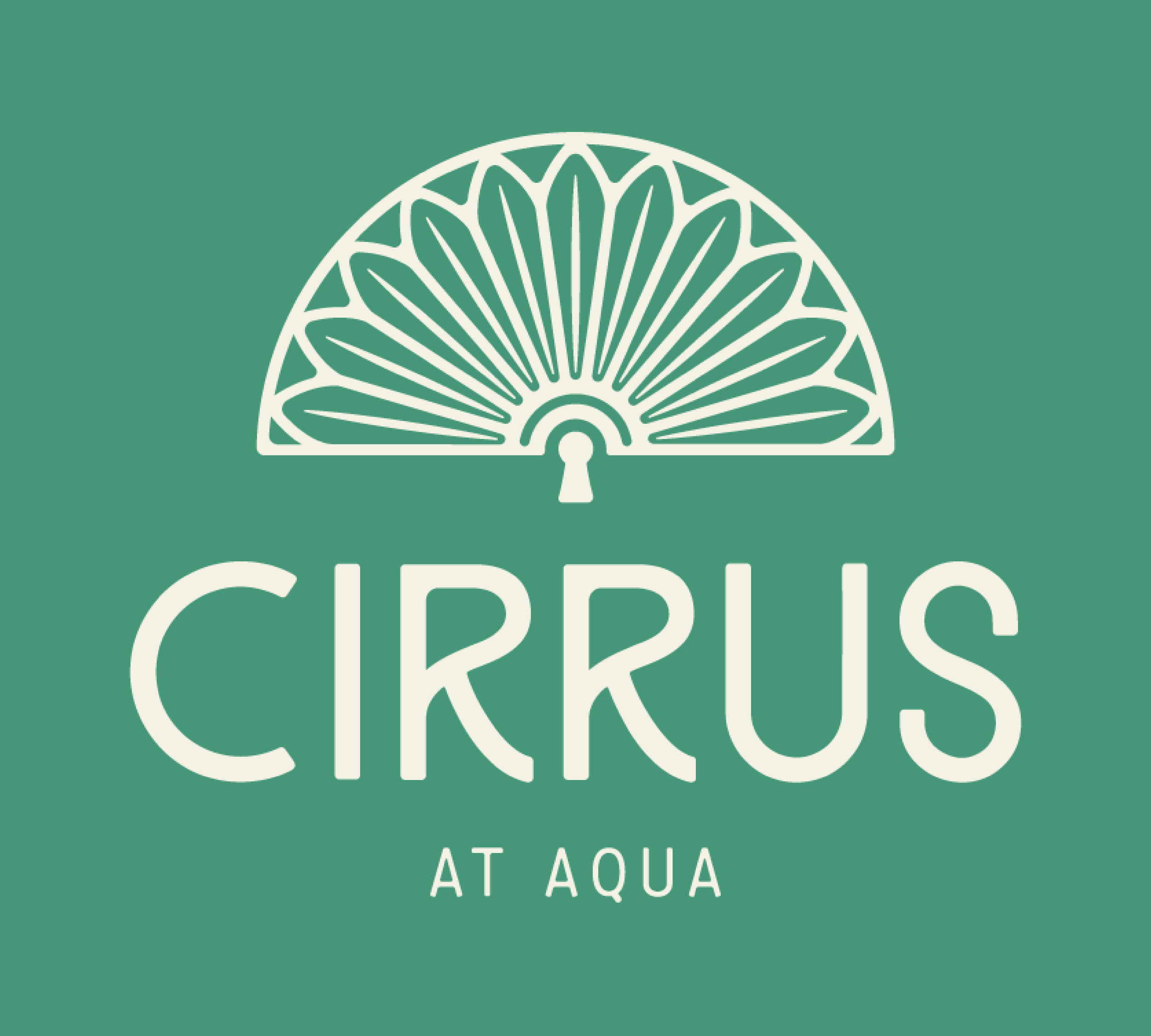 Cirrus-Logopng.png
