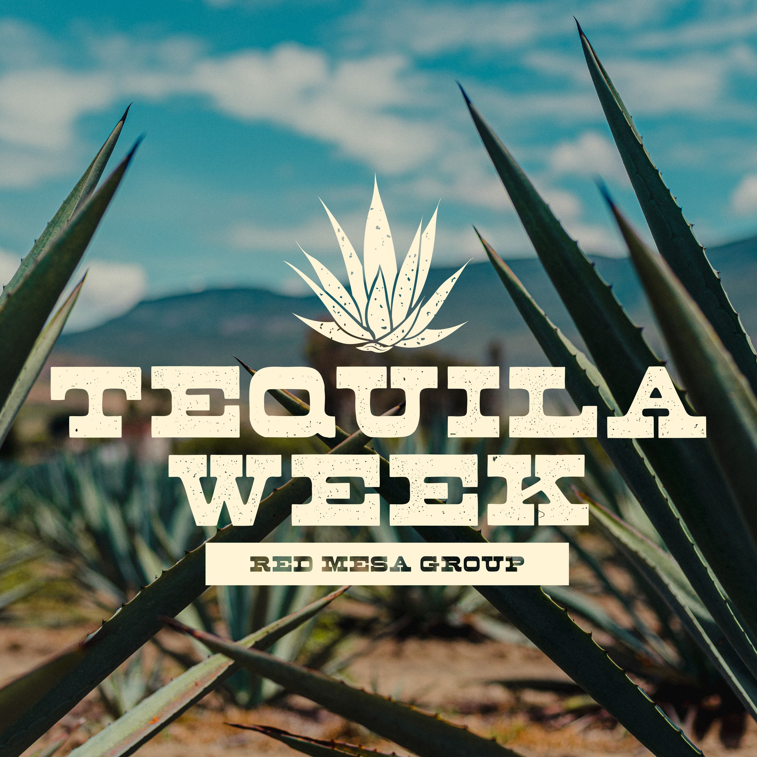 Tequila Week Branding-07.jpg
