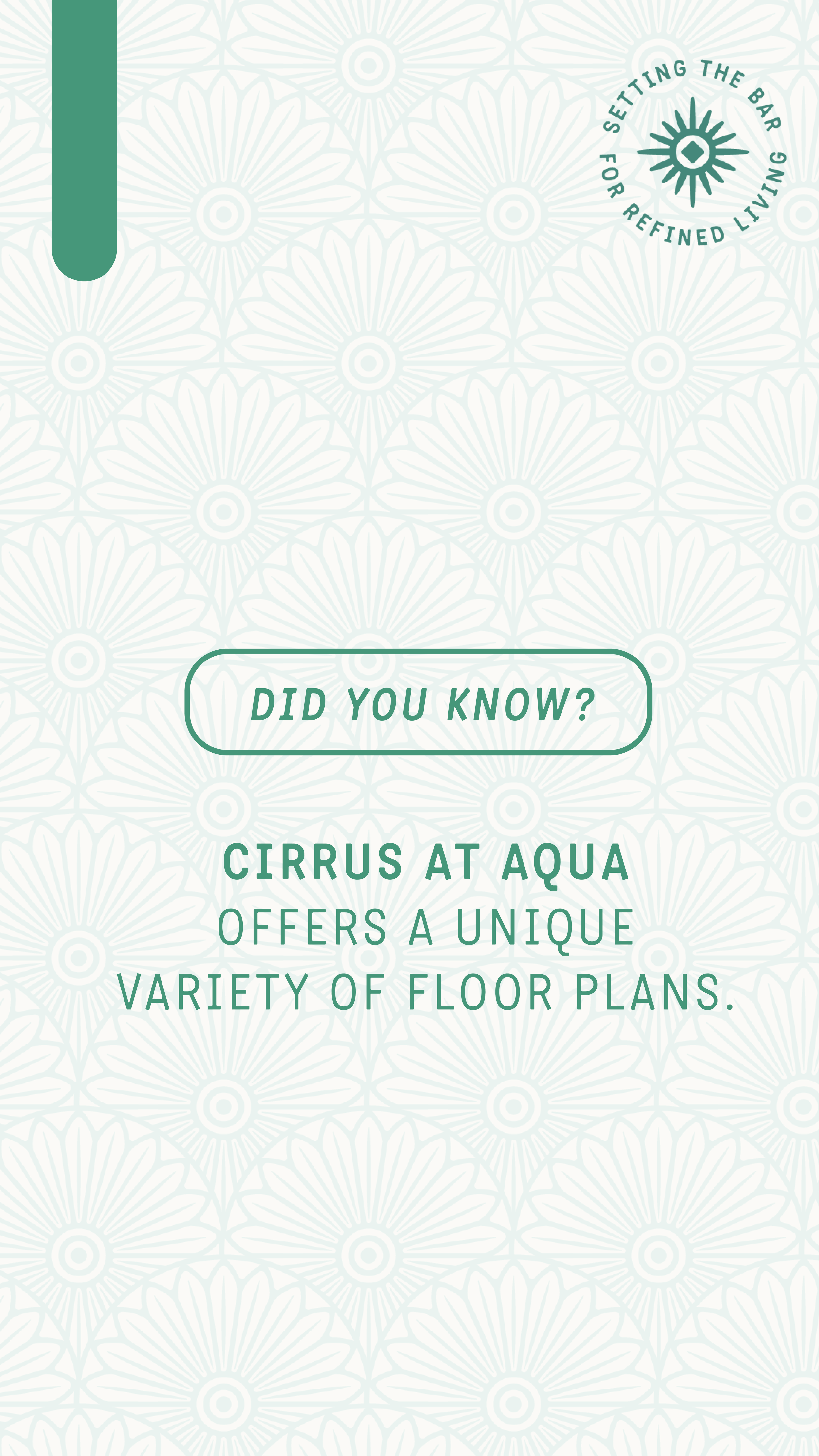 Cirrus-Social Strategy_Q'S.png