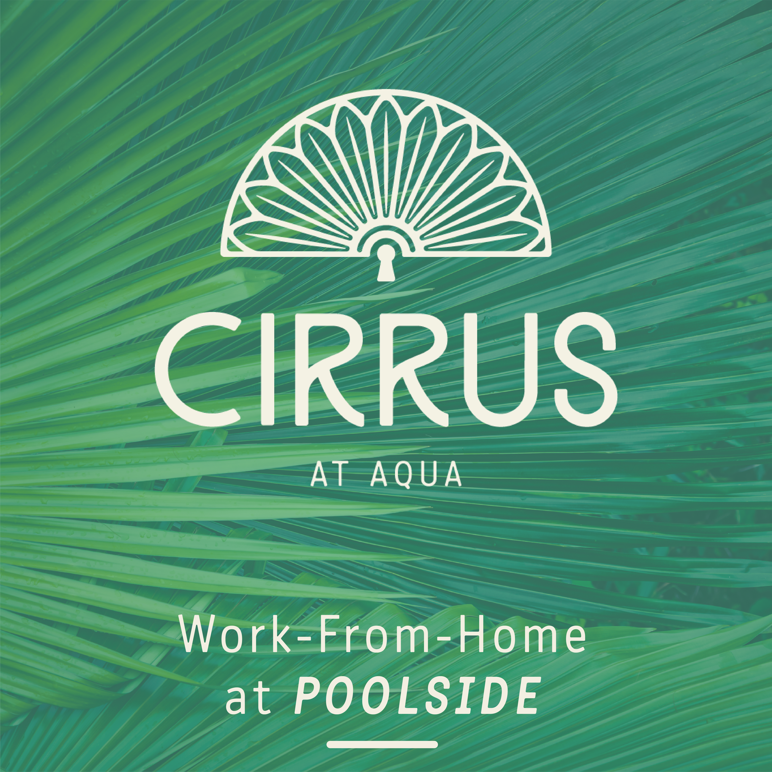 Cirrus-Social Strategy_Amenities.png
