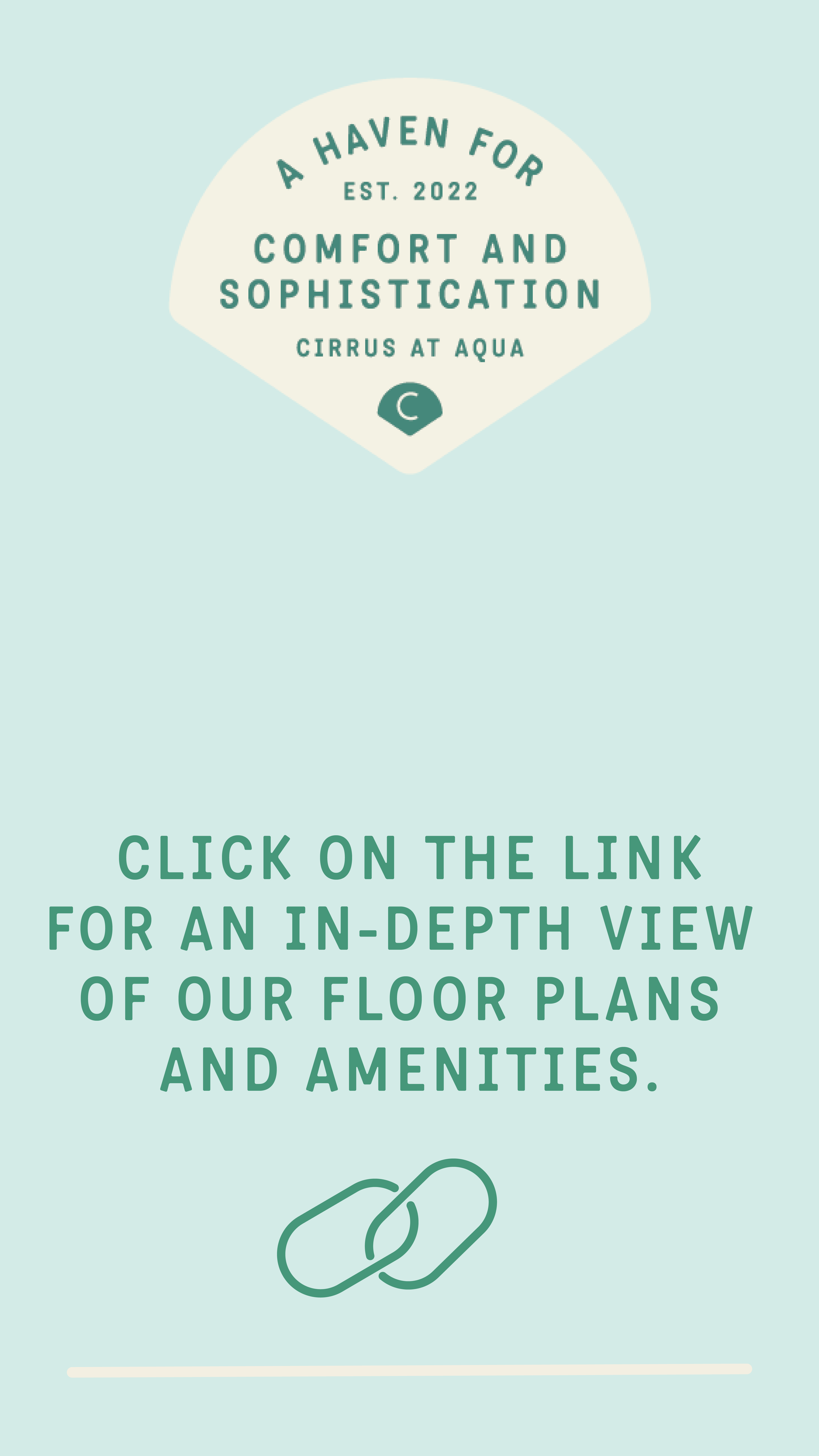 Cirrus-Social Strategy_LINK.png