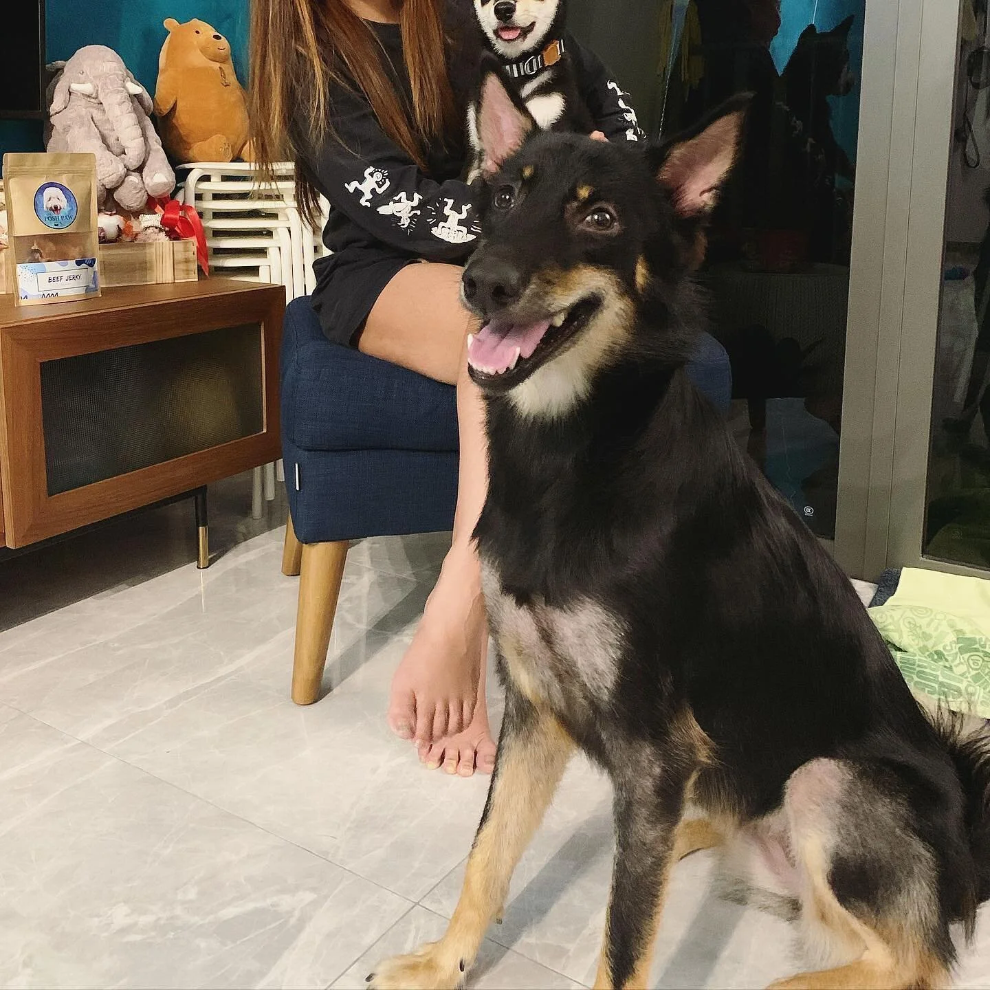 Half-bowl diet.
1. Pawsome Palate + home cooked food 
2. Pawsome Palate + kibble 

Are you feeding half-bowl meal + kibble to your fur kid? 

We&rsquo;re also realistic and know that for some people convenience wins over home cooking. So, if you&rsqu